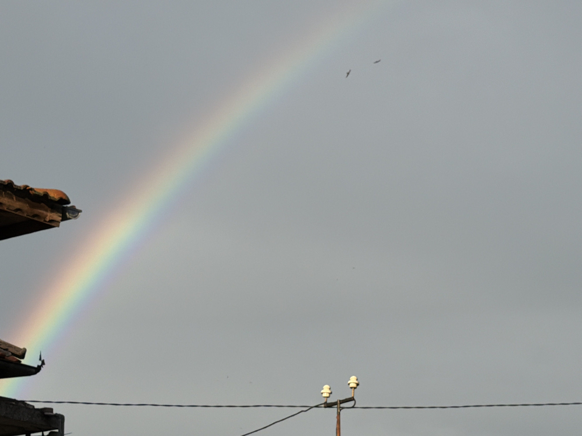 Rainbow appears over Burgas residential area after rain