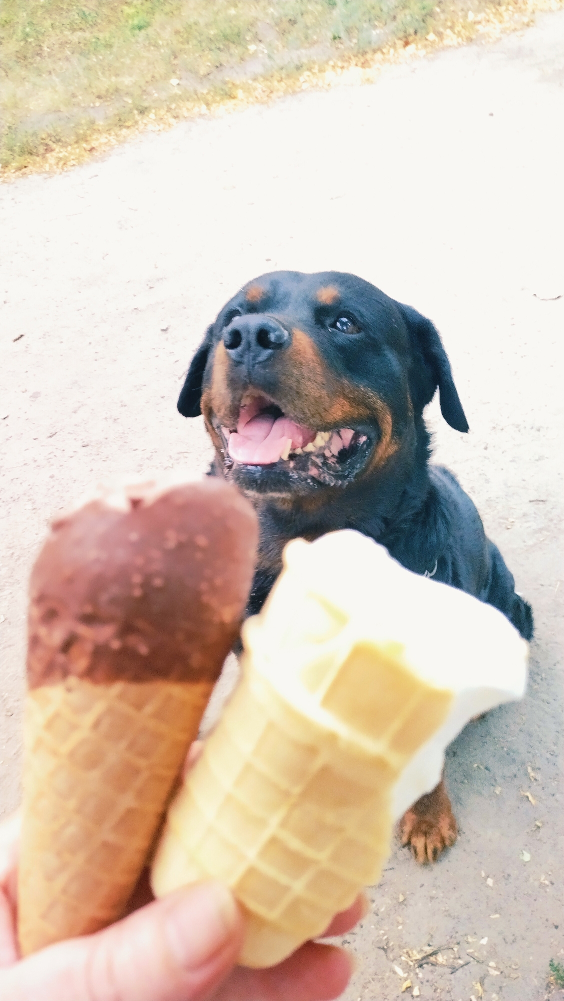 Event