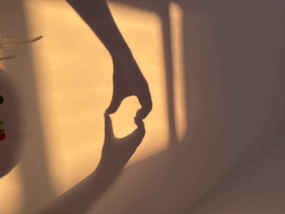 Domestic afternoon captured in Belgrade suburb through intimate moments
