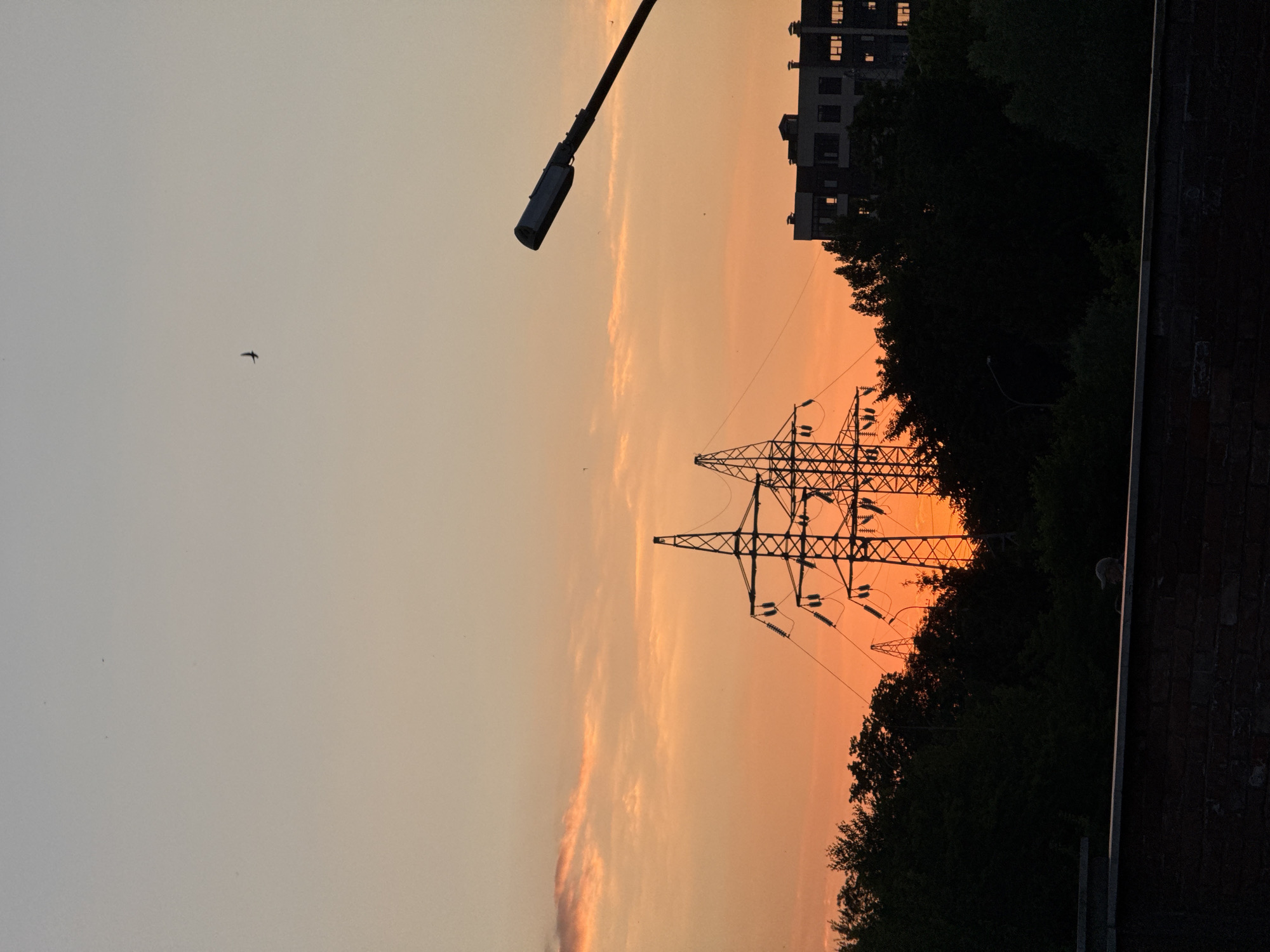 Power lines cut through a warm sunset sky in rural Russia