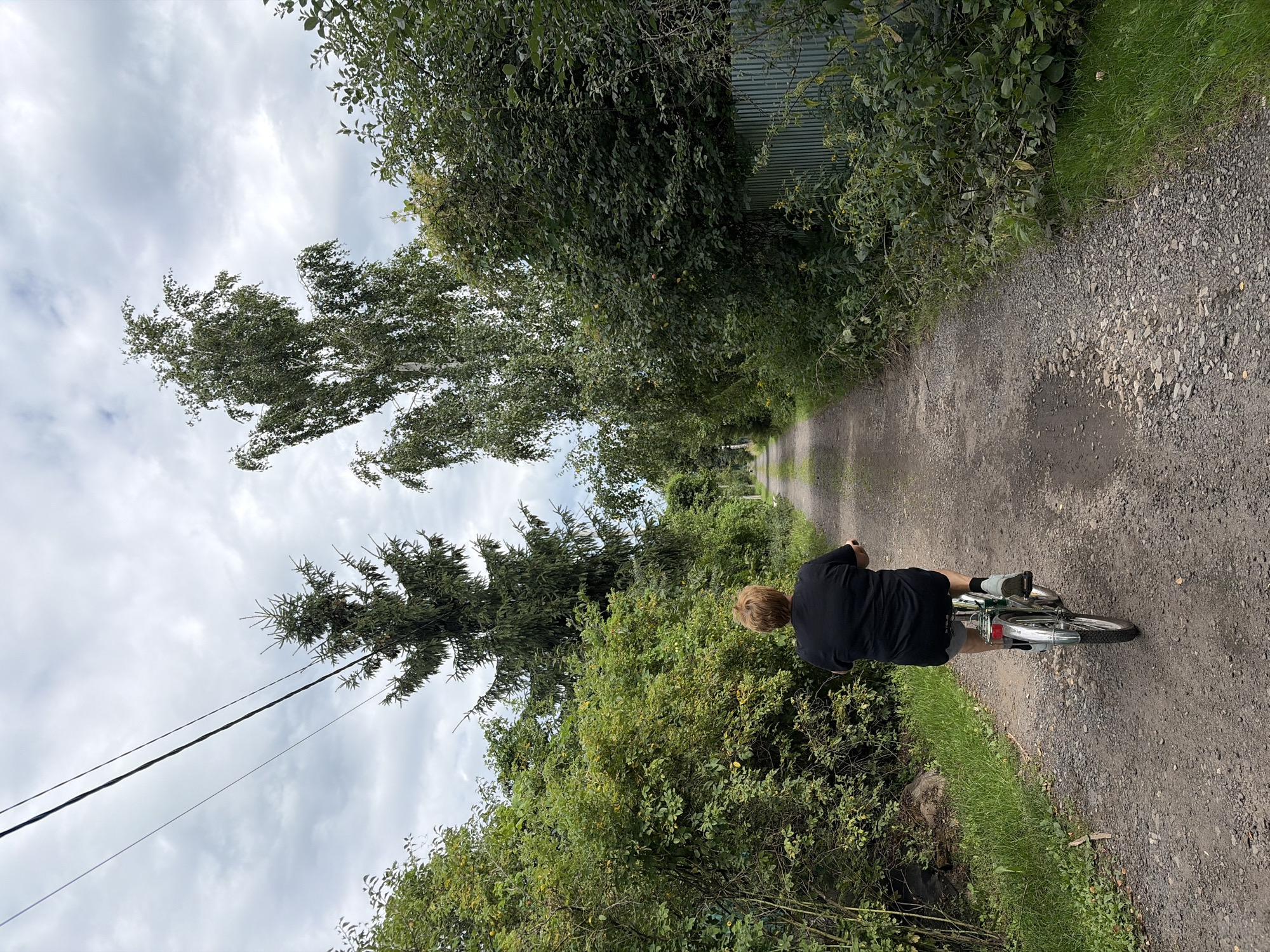 Cycling through dacha settlements, late summer gardens in full fruit