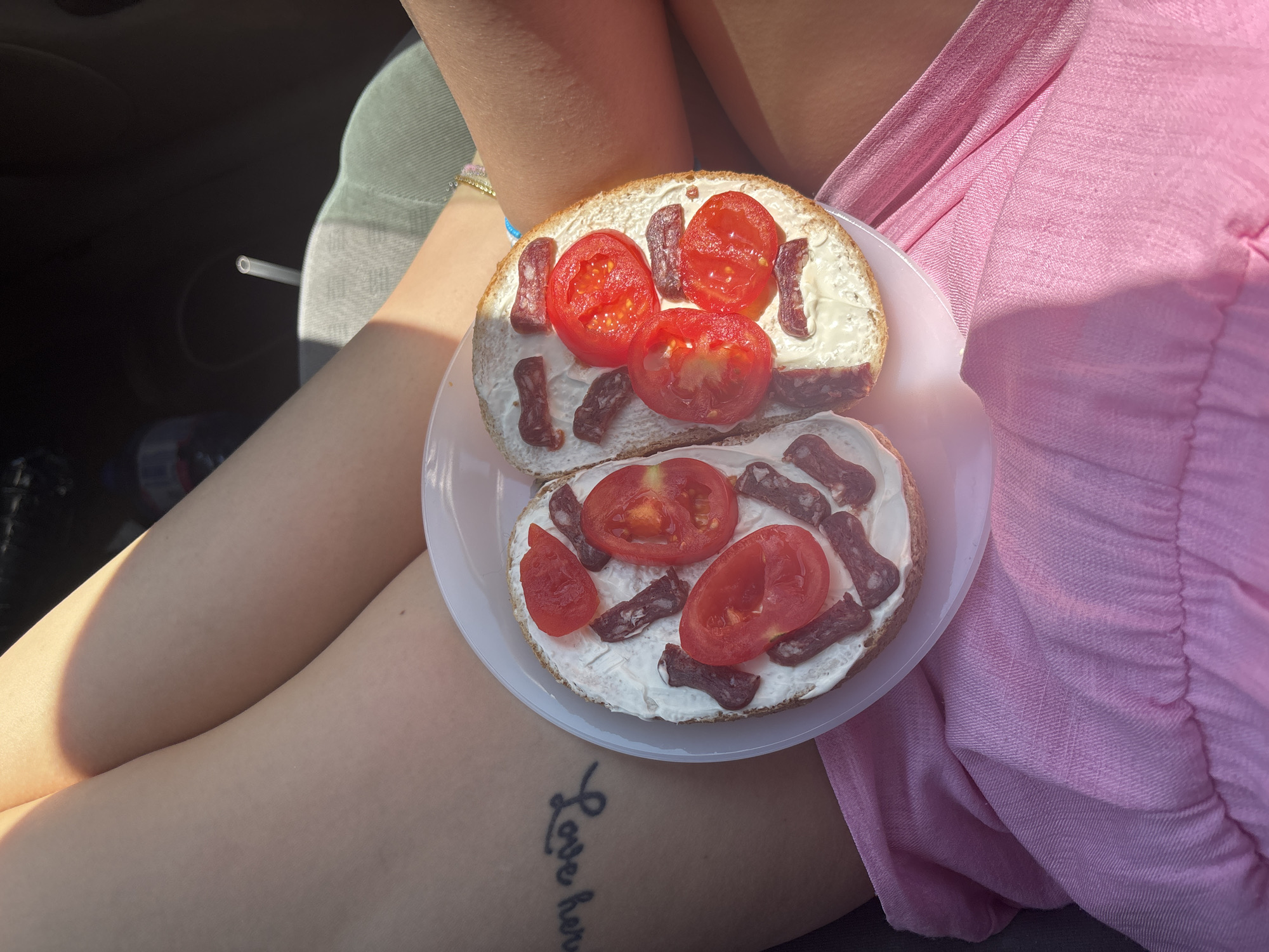 Road trip lunch with dogs captured in Bulgarian countryside