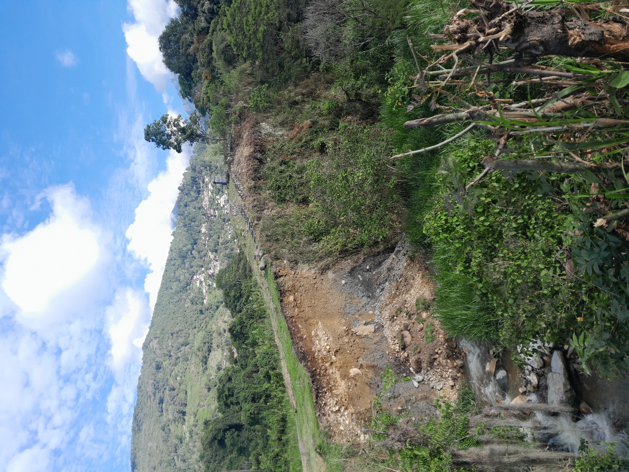 Mountainside vegetation and dirt path observed in Merida, Venezuela