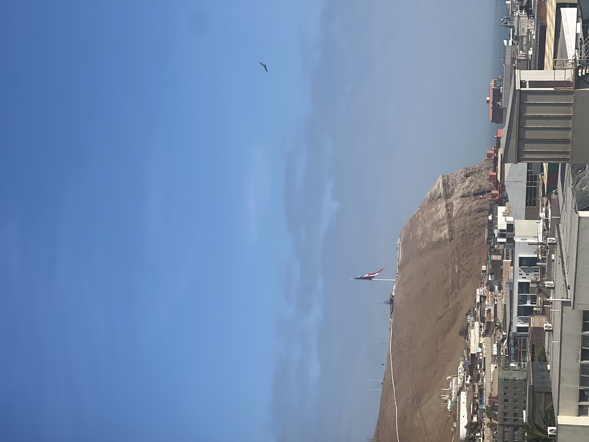 Routine life documented in Arica: cityscape views, hospital cleaning