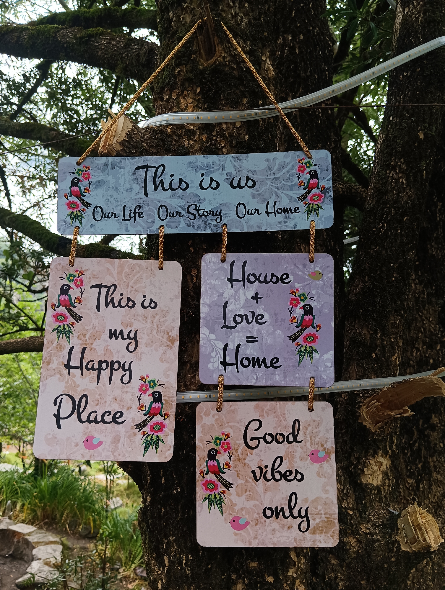 Tourist moments captured across Old Manali's cafes and scenic spots
