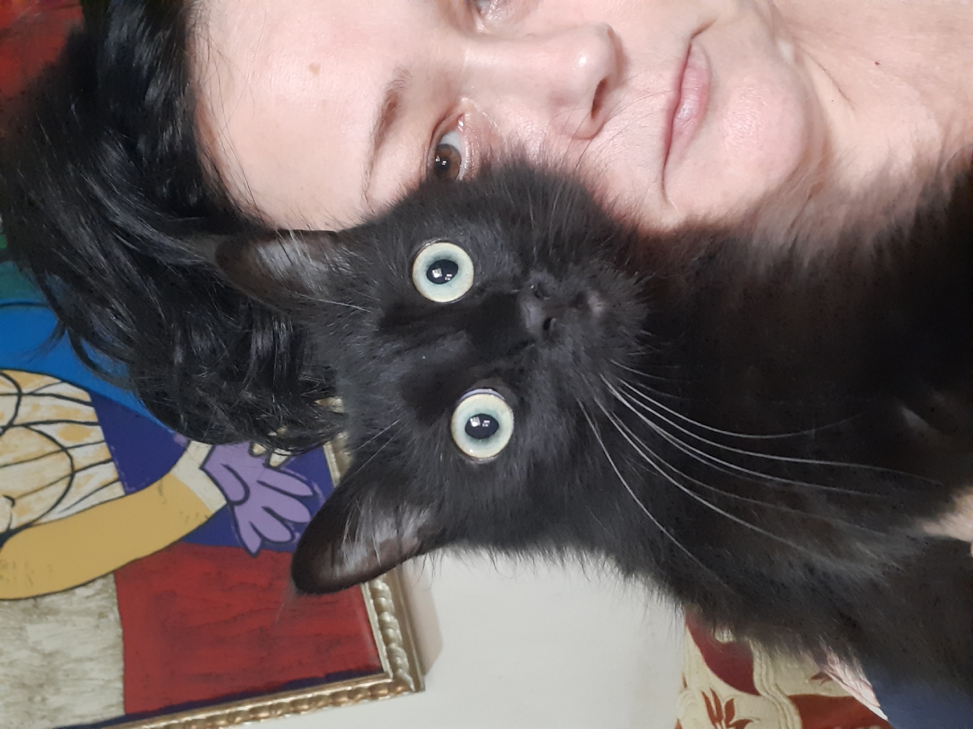 Person poses with black cat in Al Hadaba home