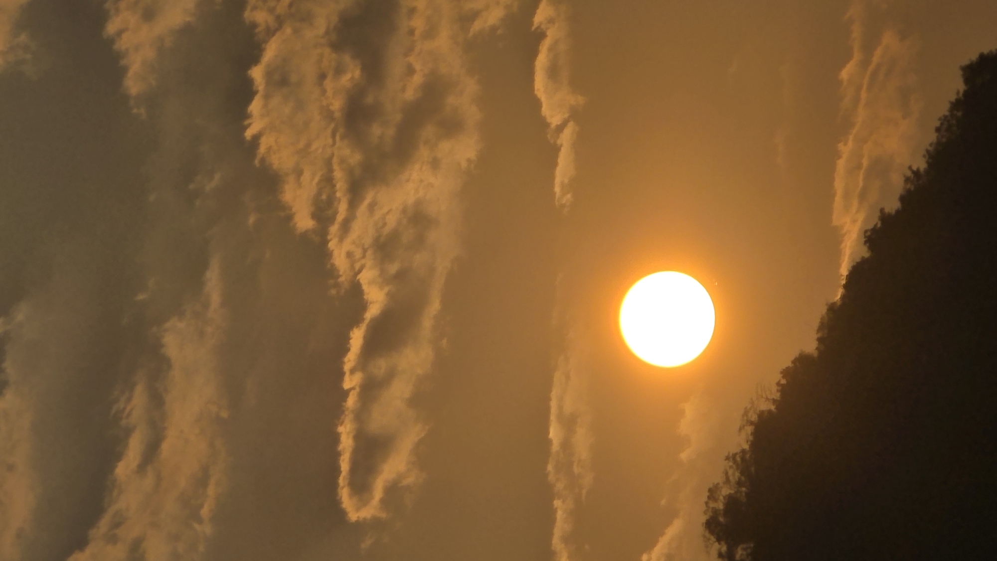 Sunset and gecko documented at Vietnam heritage site