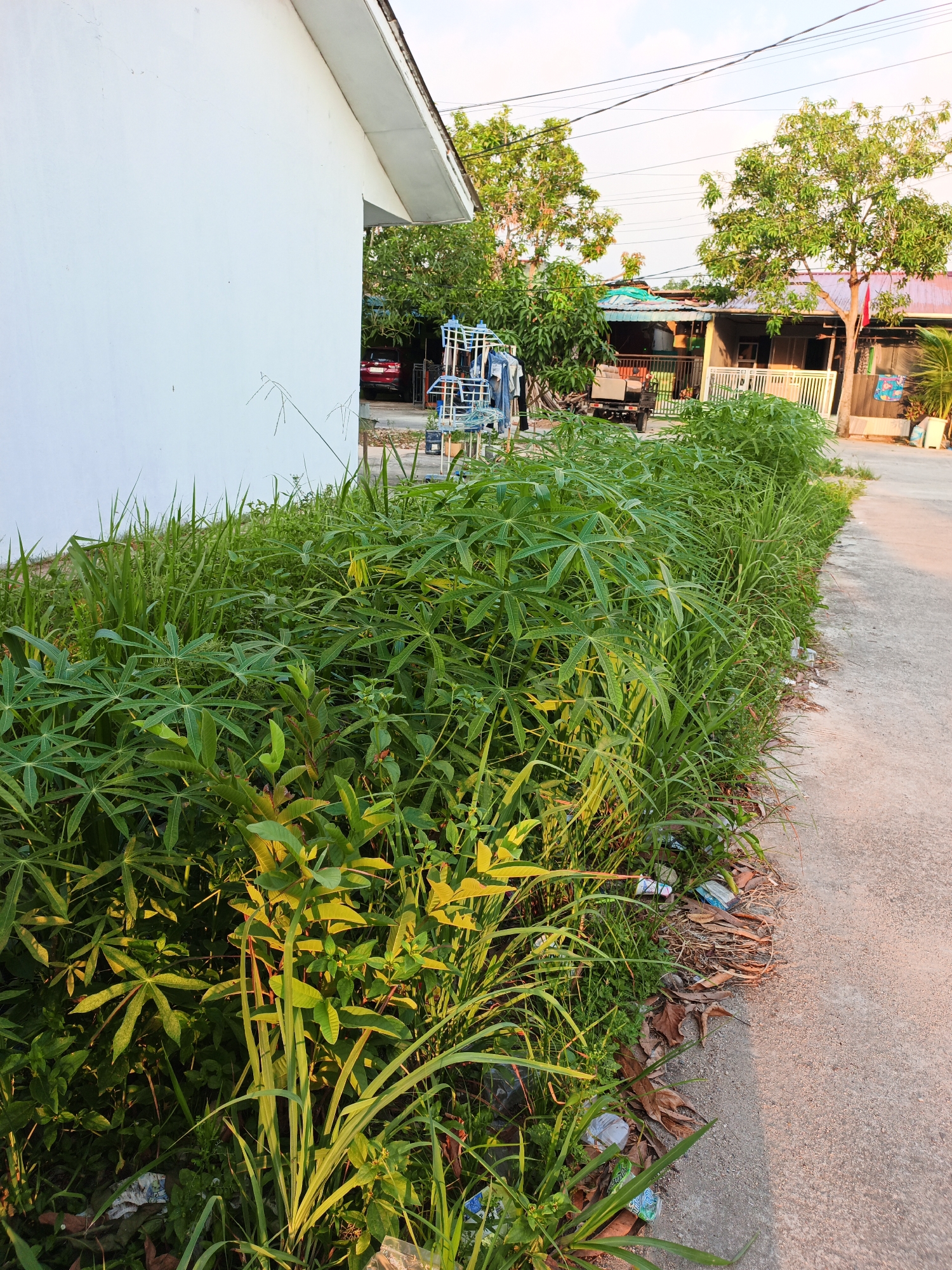 Quiet Batam neighborhood streets, courts, and cats at dusk