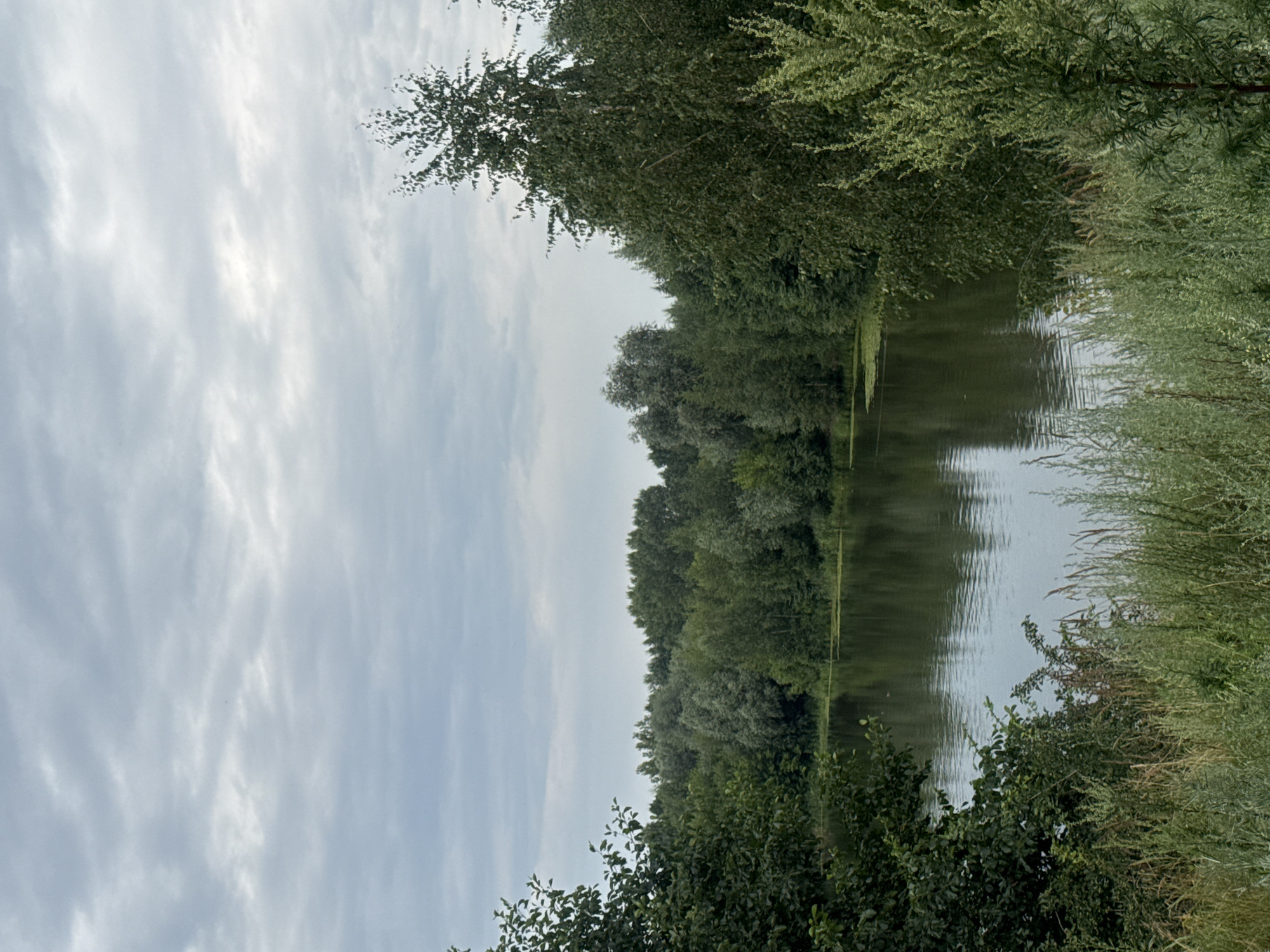 Still water and overcast skies at a forested Nizhny Novgorod shoreline
