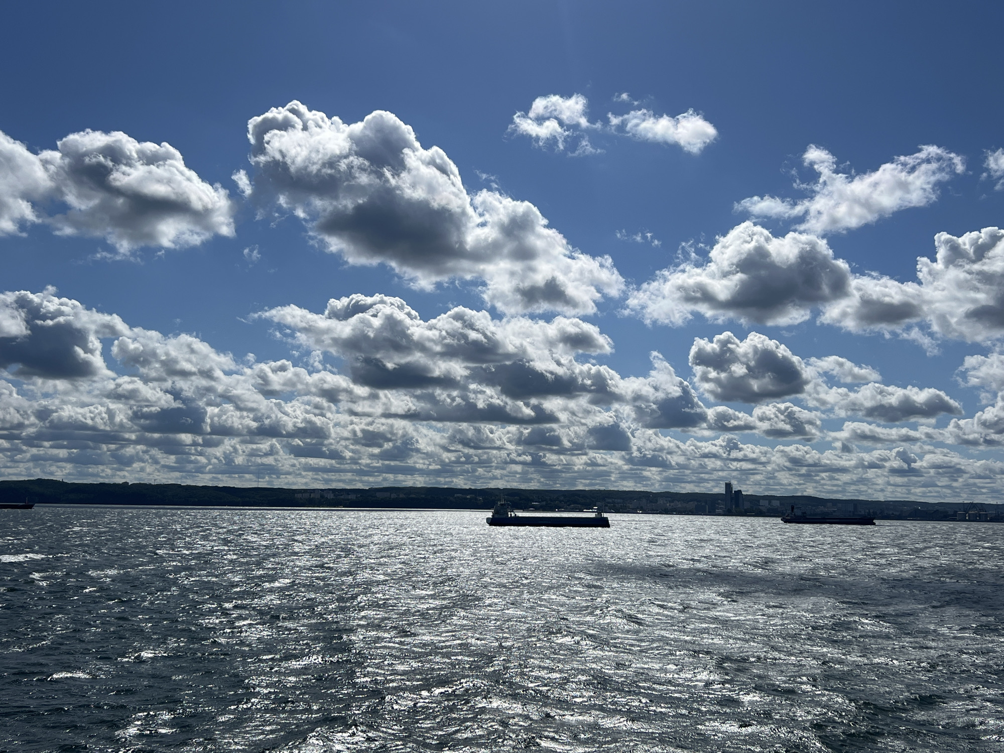 Gdynia harbor view with cargo ships and port infrastructure