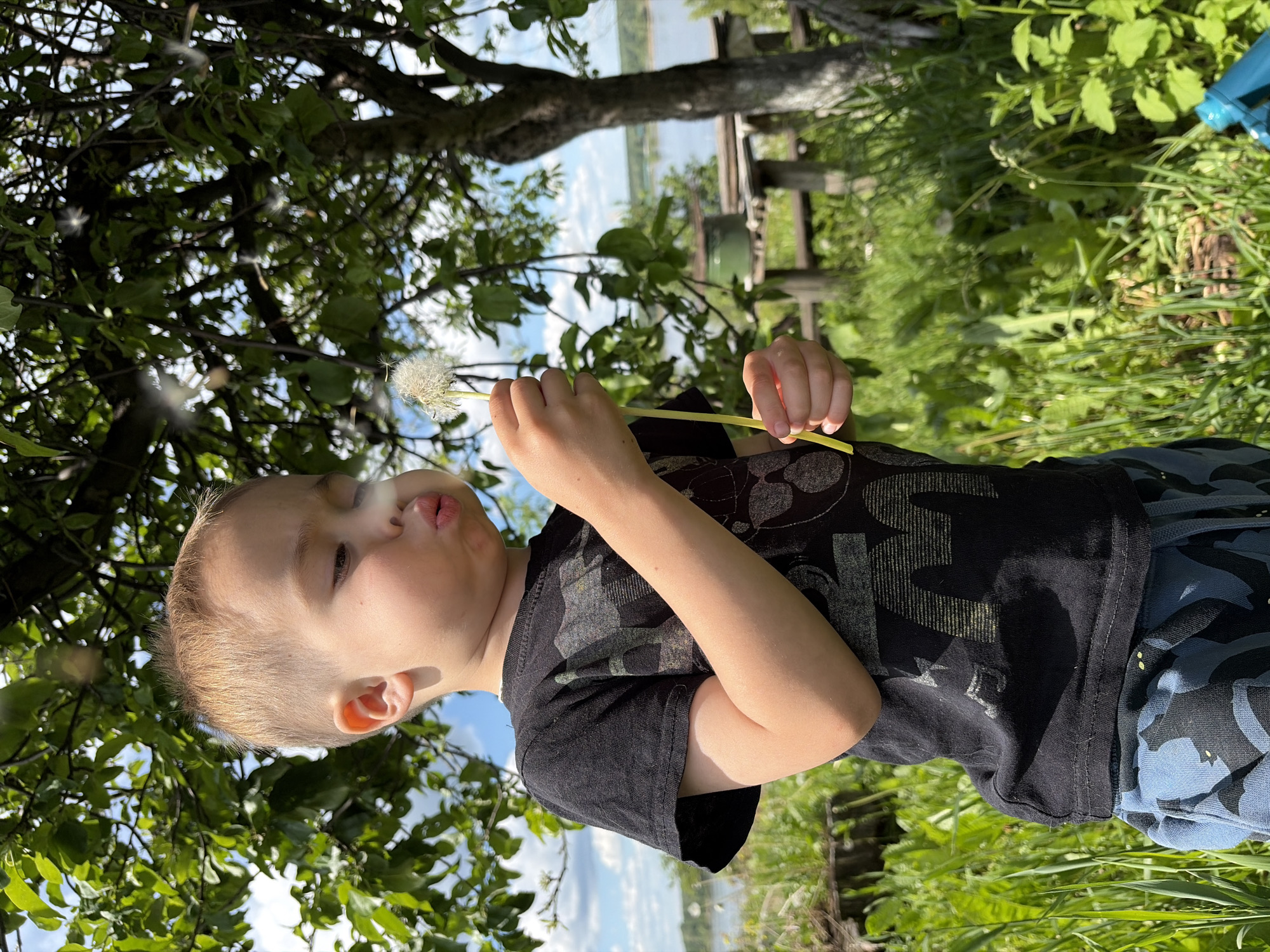 Child plays with bubbles and dandelions in Russian village
