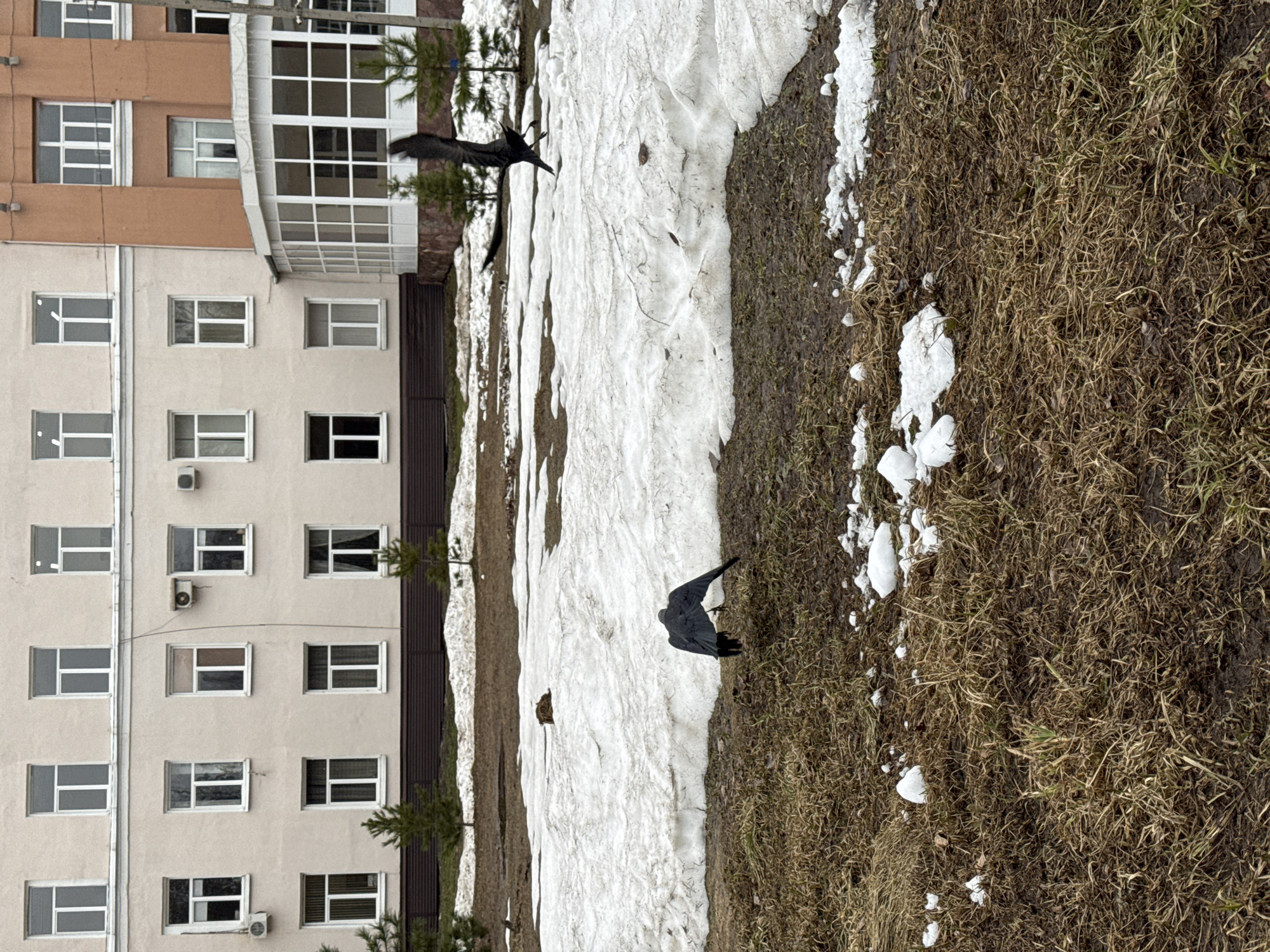 Child explores military display site in Izhevsk during spring visit