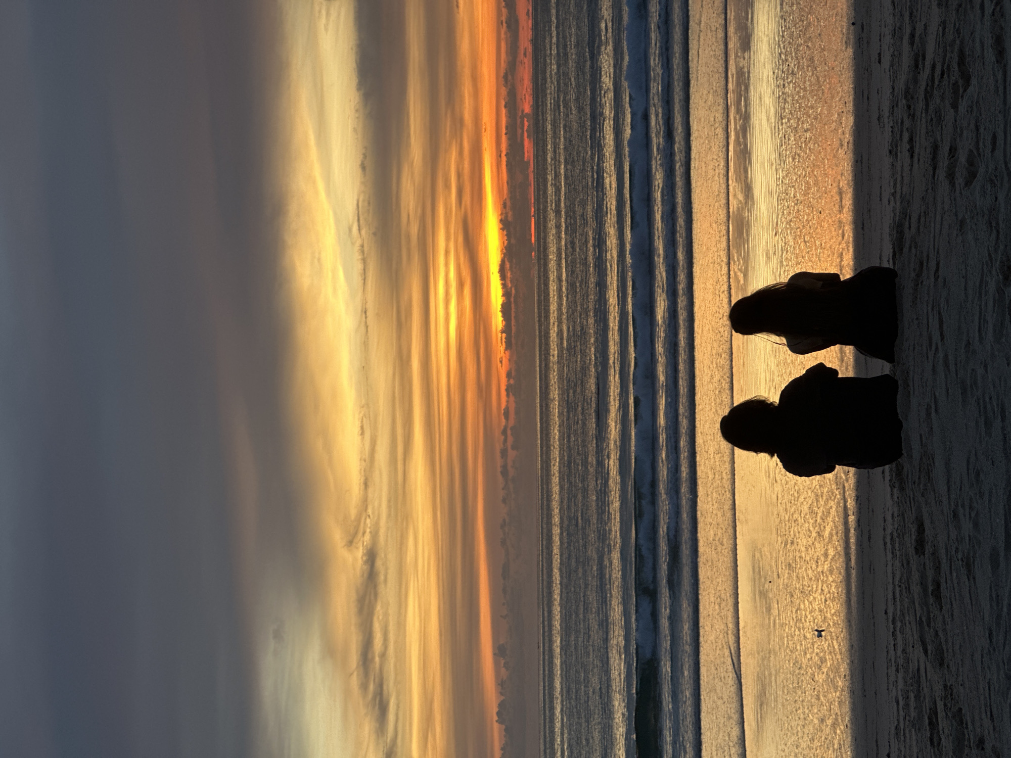 Horses, cats, and golden light at a beach sunset