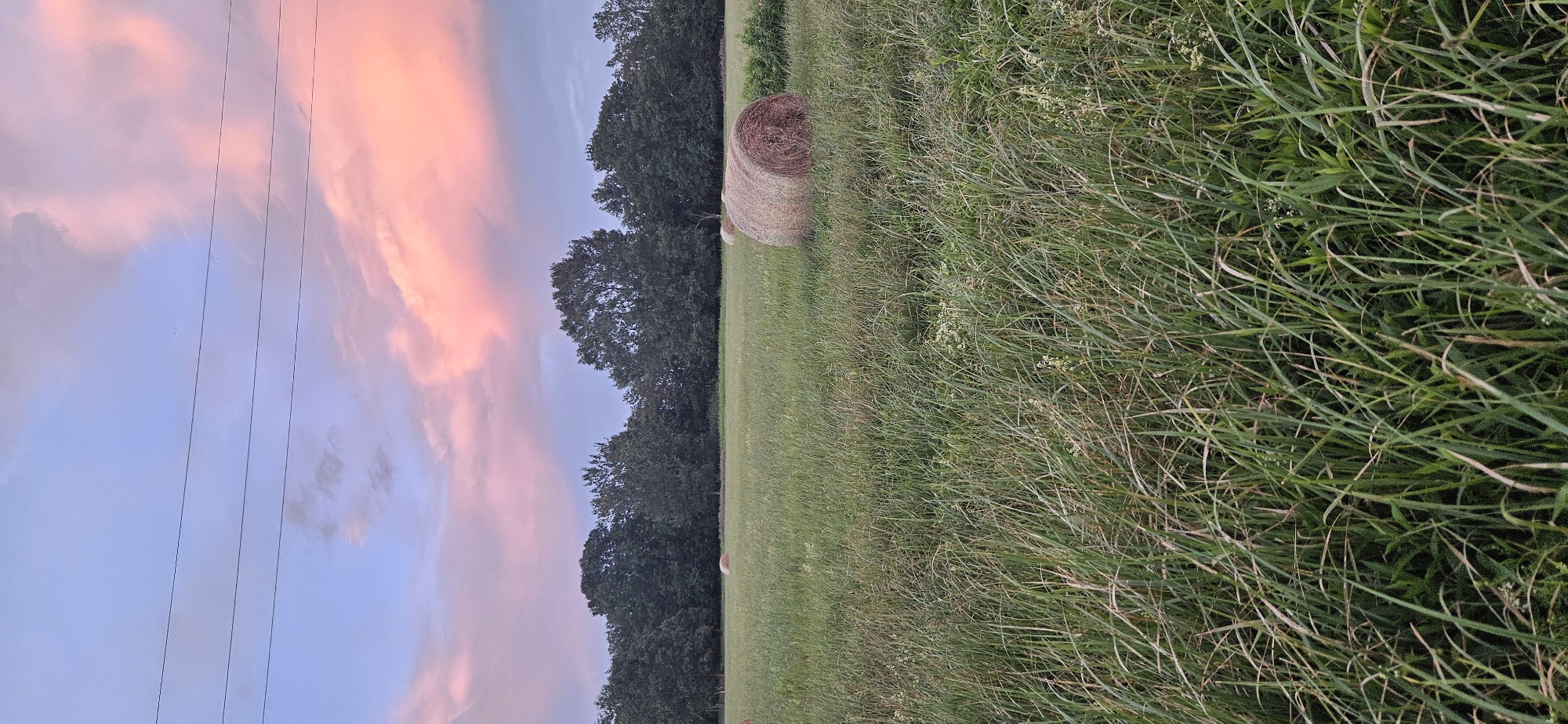 Summer dusk along the waterways and fields of Hévíz
