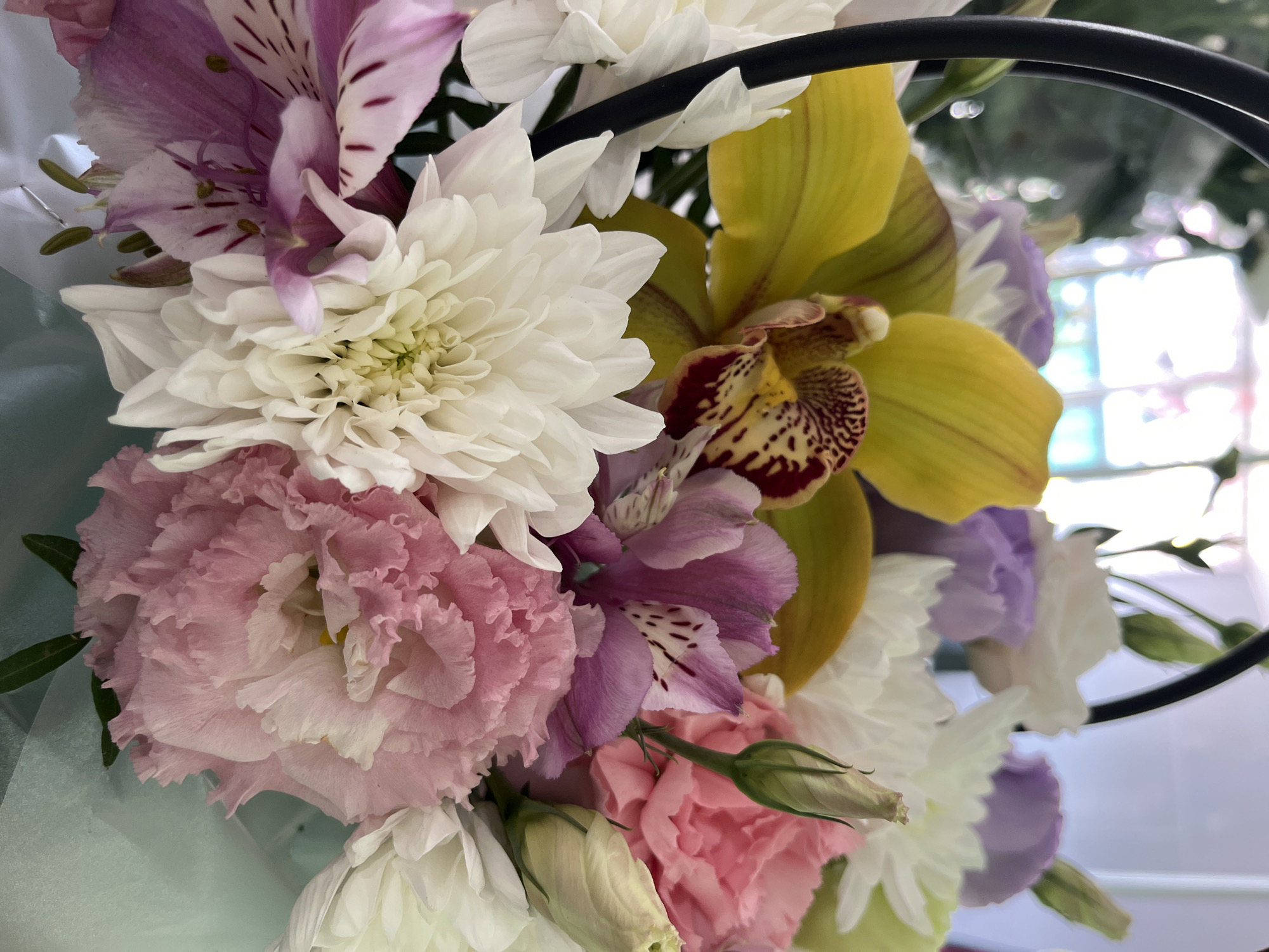 Flower shop visit documented with floral arrangements and refreshments