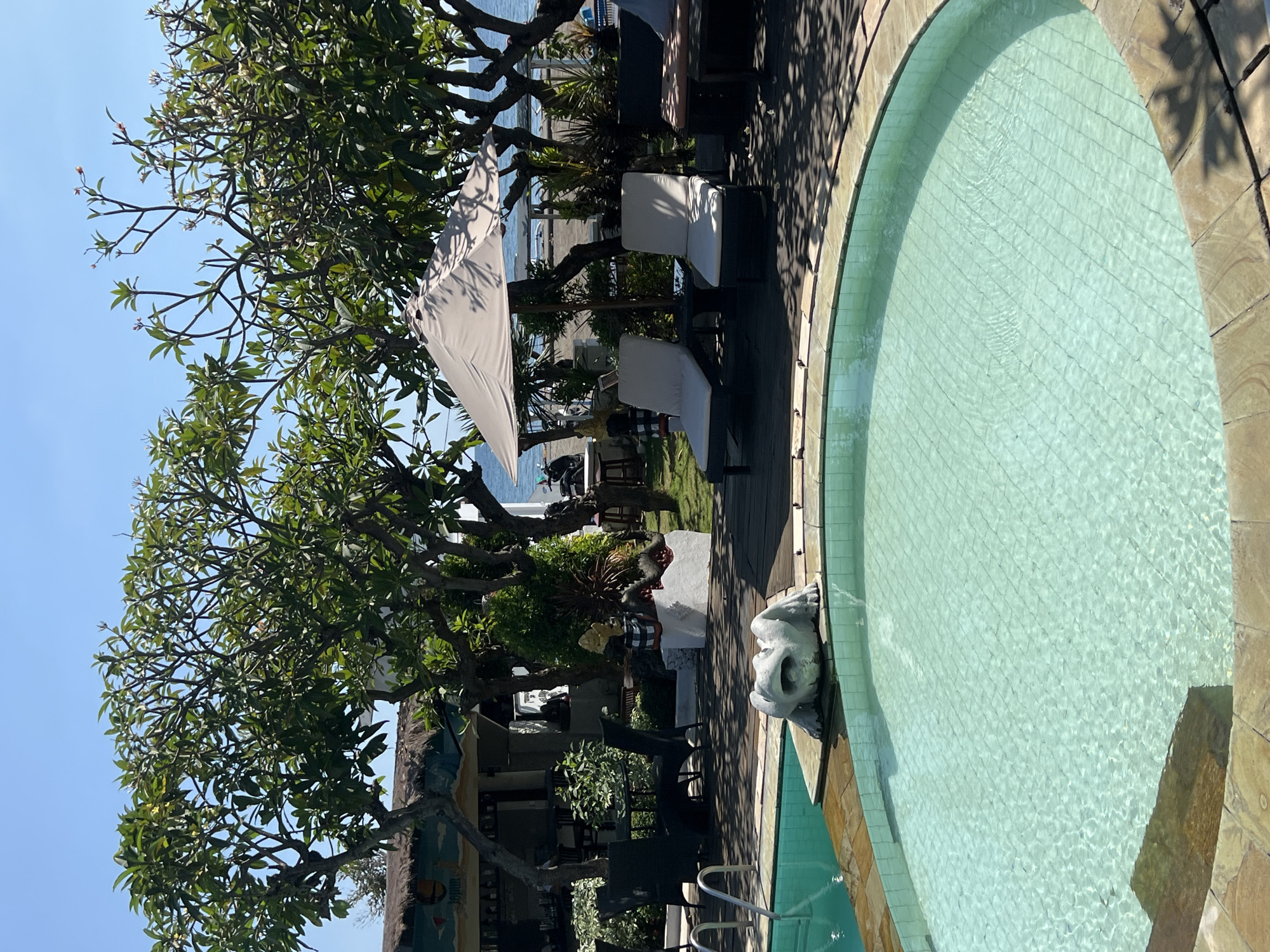 Breakfast at a Buleleng resort, complete with wildlife surprises