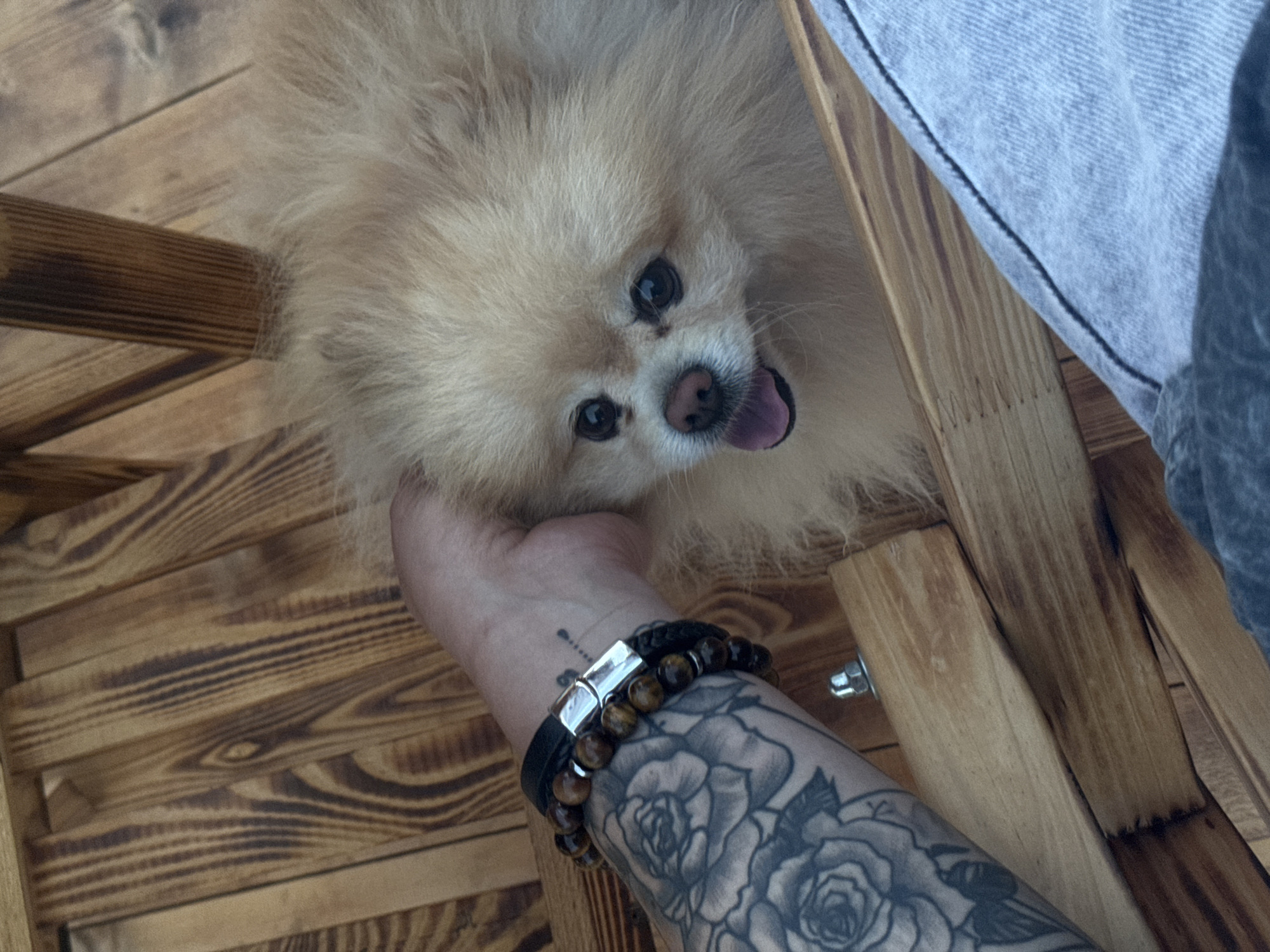 Lazy summer afternoon on a deck with a hot tub and a Pomeranian