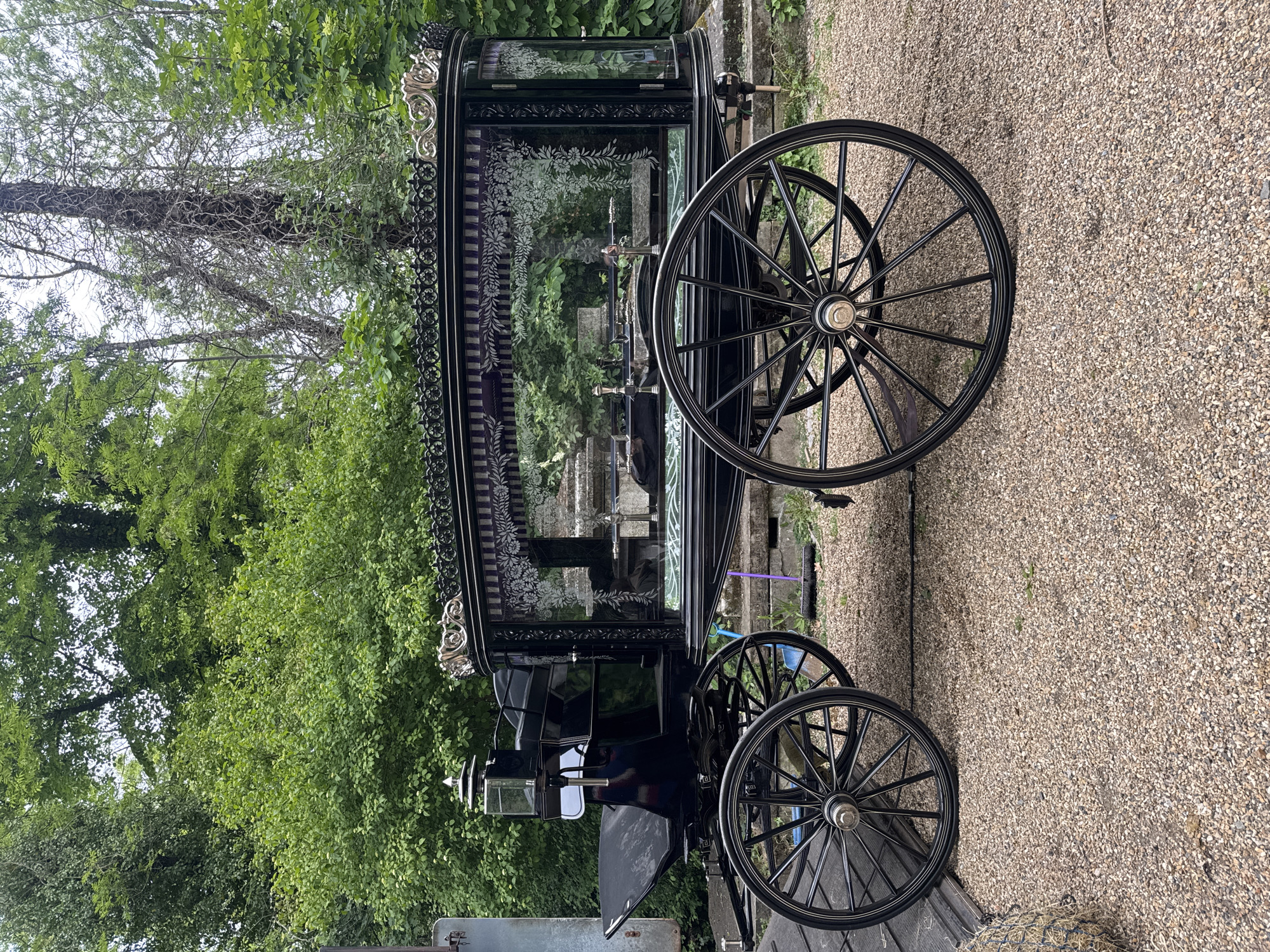 Traditional horse-drawn hearse spotted in London cemetery district