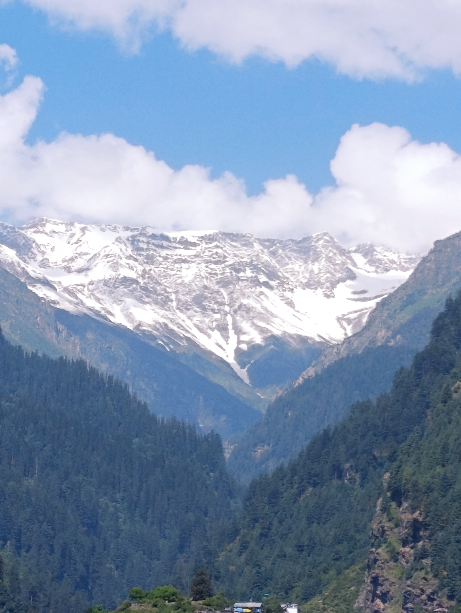 Manali valley: mountain scenery and street life