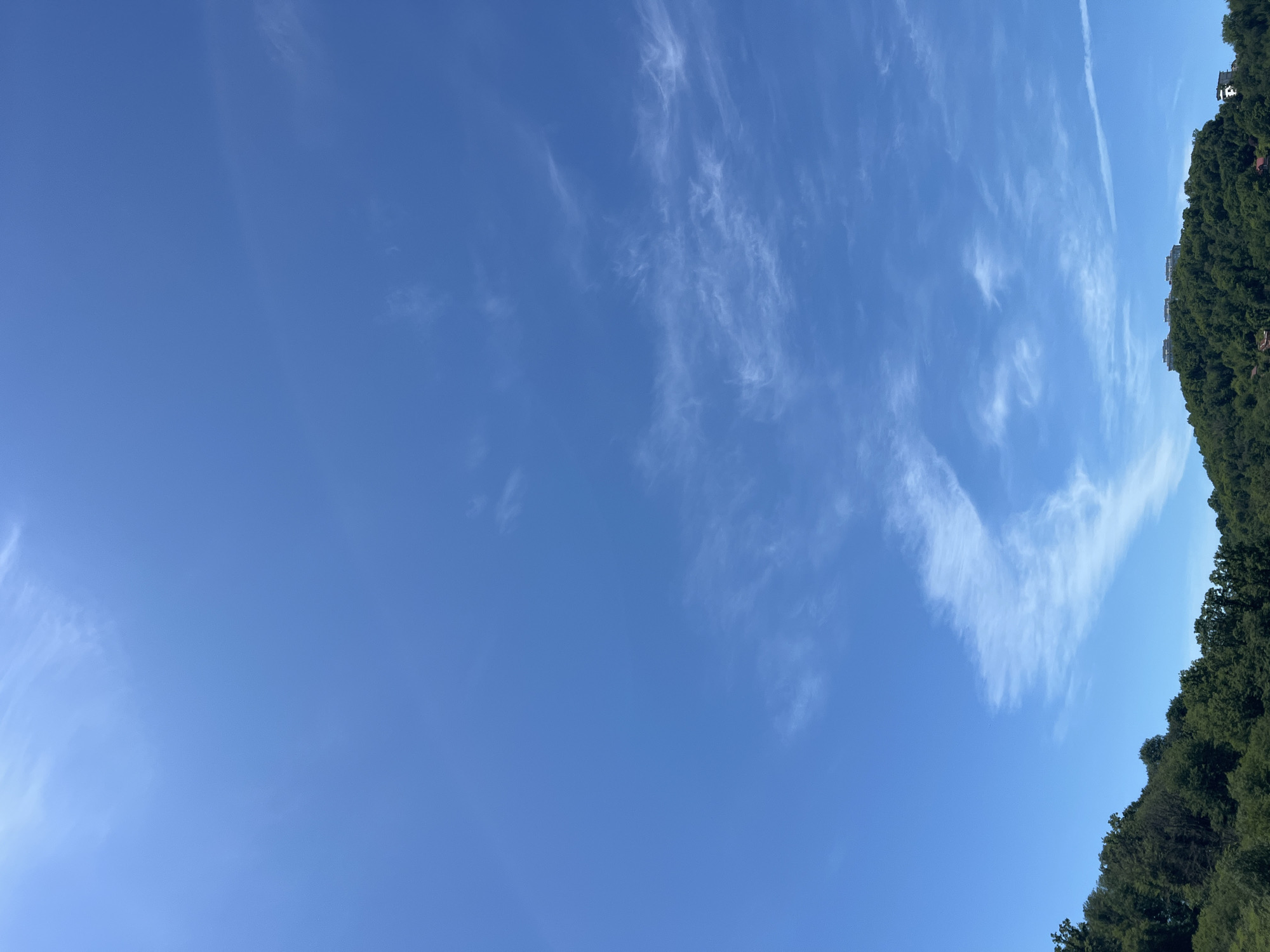 Morning life documented across Sochi during clear weather