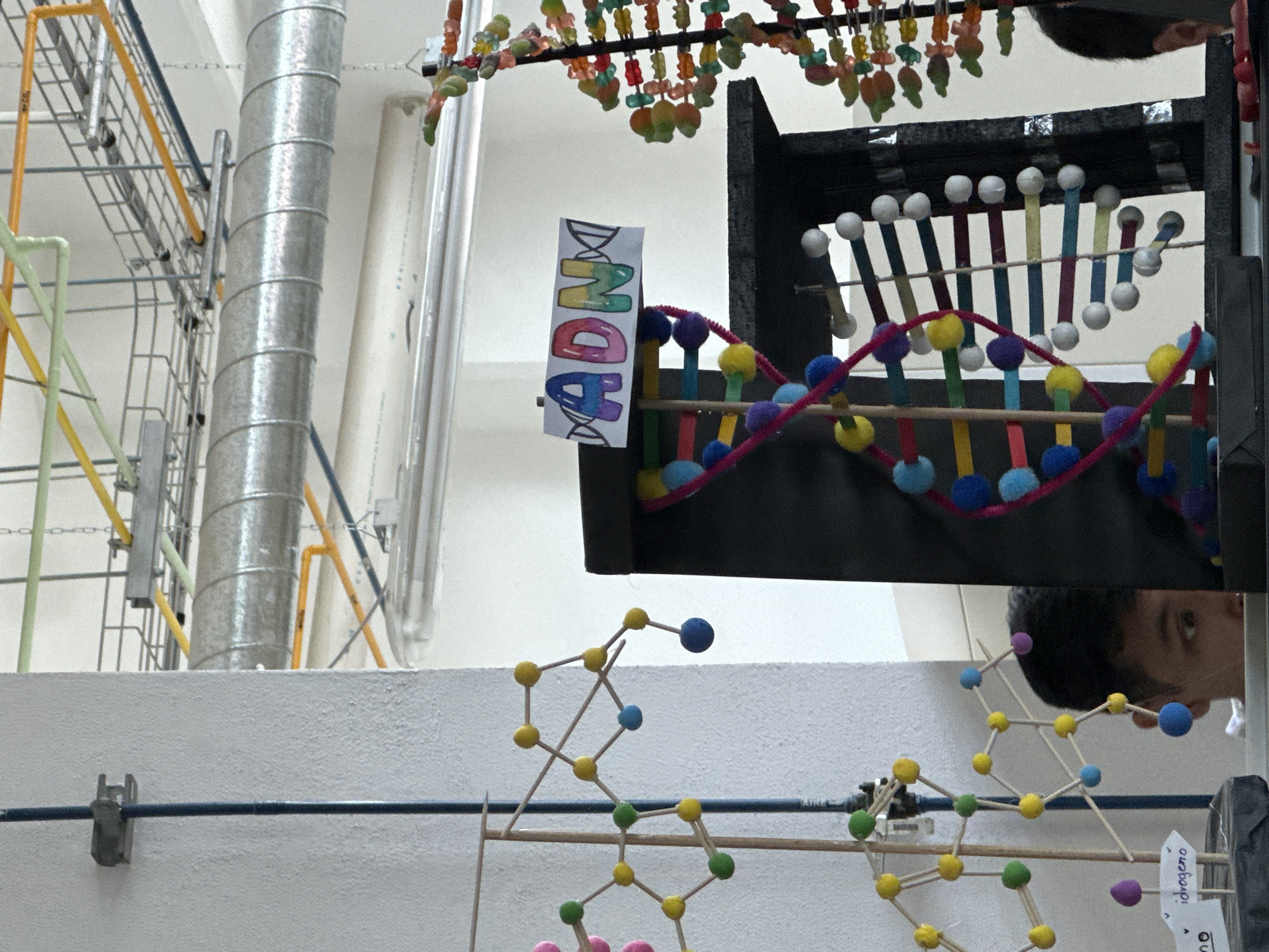 Laboratory researchers conduct DNA experiments with scientific equipment