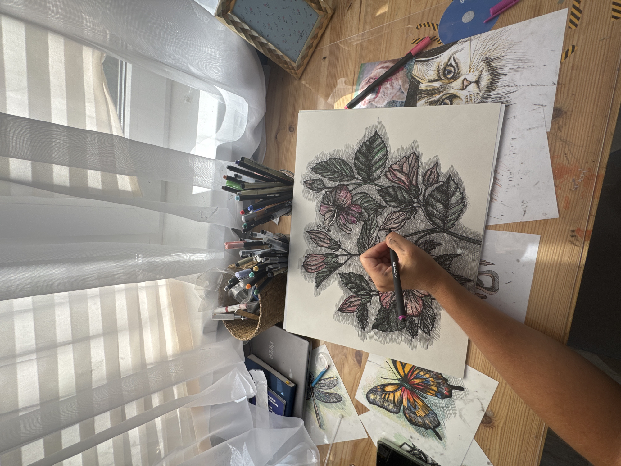 Detailed hibiscus illustration in progress, pen and ink on paper