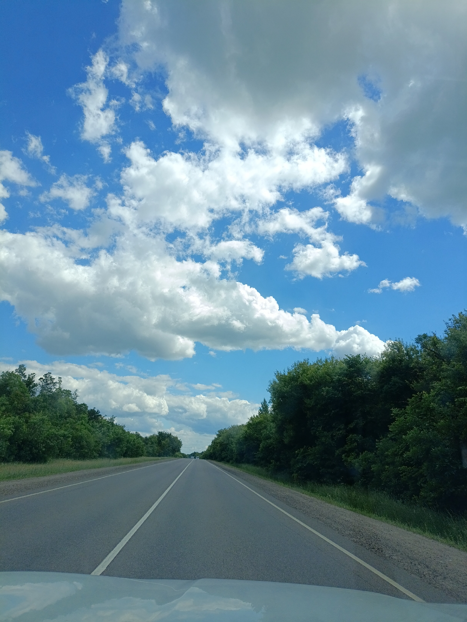 Car trip past a Russian fuel sign on a tree-lined road