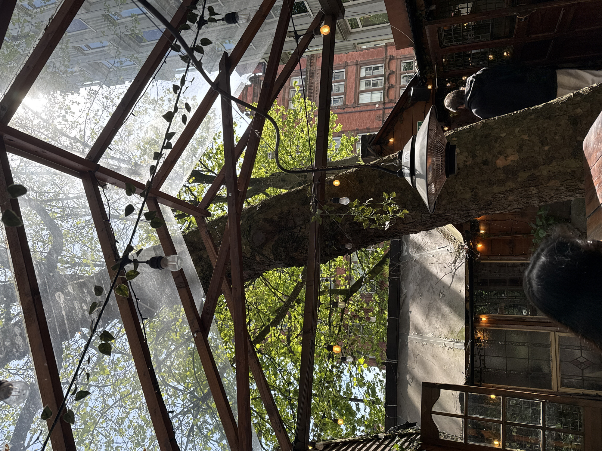 Manchester treehouse gathering captured from unusual angles