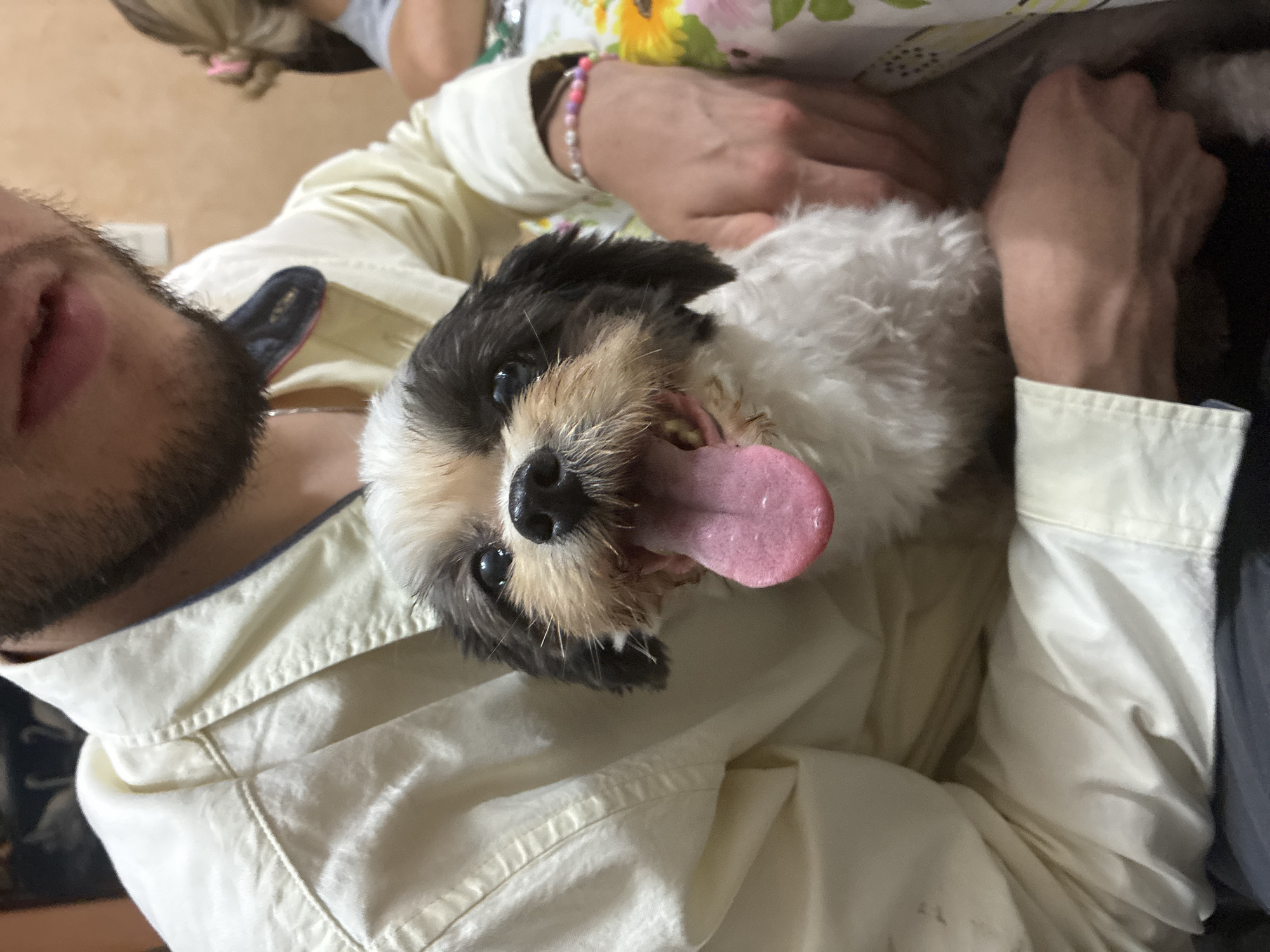 Man holds small fluffy dog in Coatzacoalcos