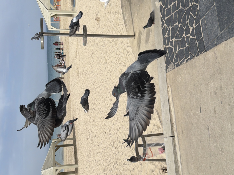 Ordinary beach day unfolds across Tel Aviv waterfront