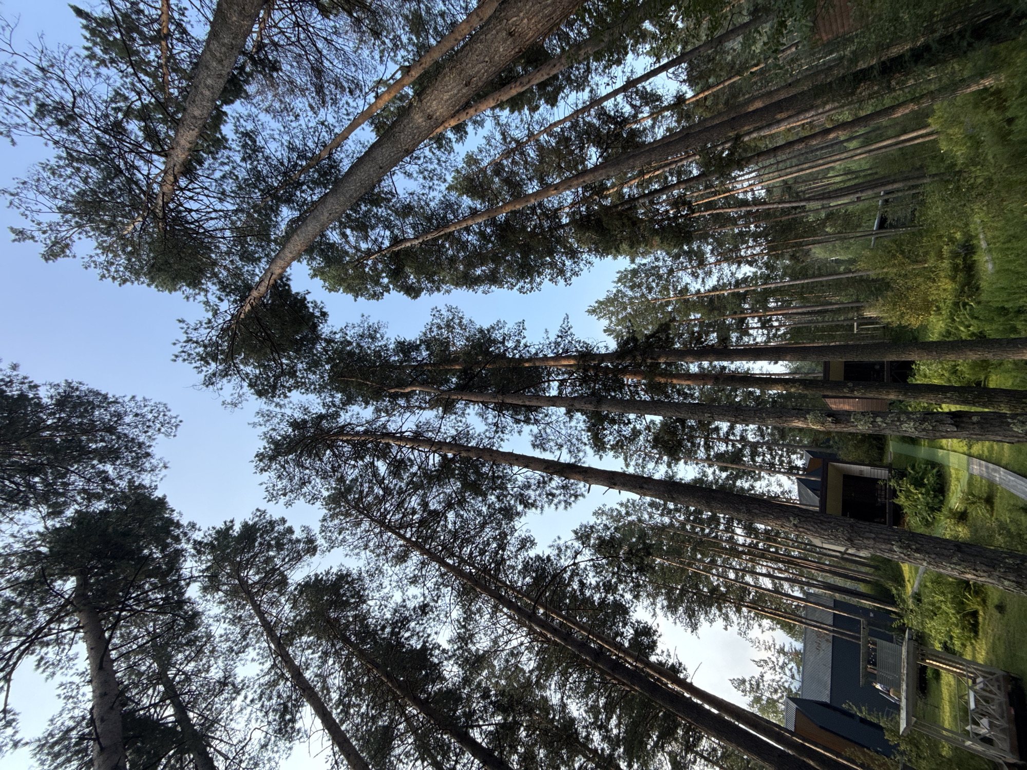 Lazy summer afternoon among pine trees and cabins in Barangol