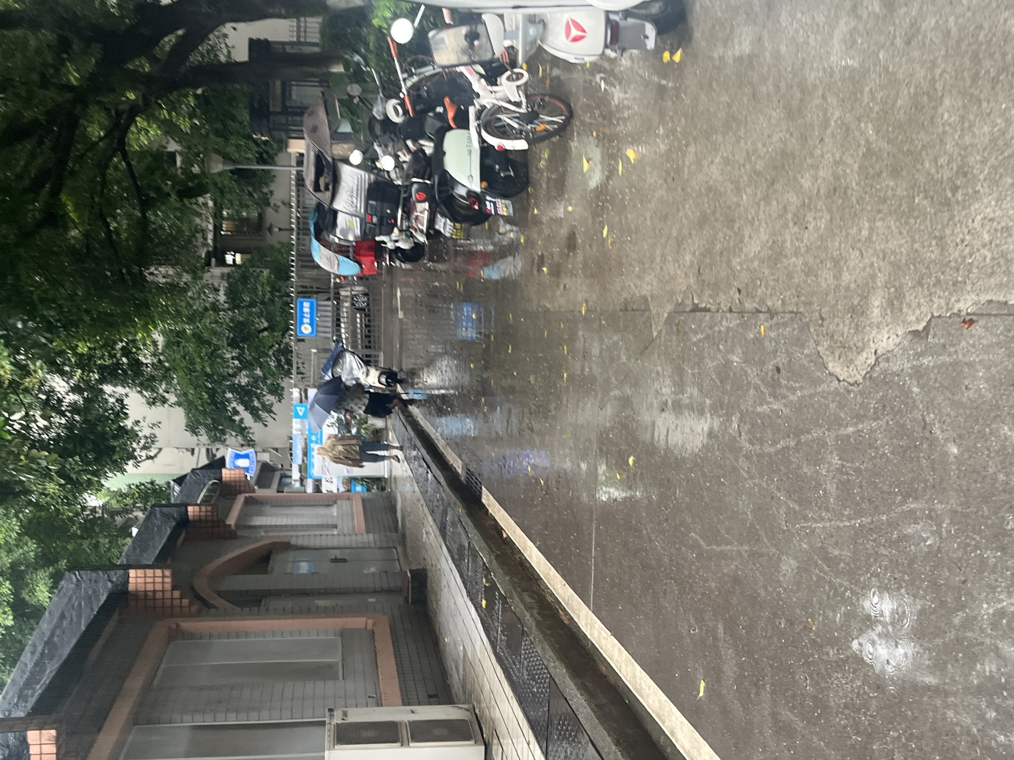 Rain soaks Yuzhong District streets during morning hours