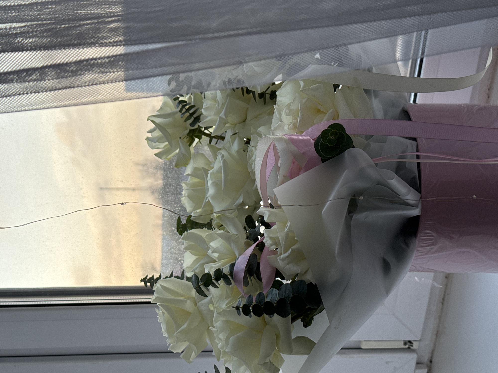 White roses and woman documented in afternoon observation