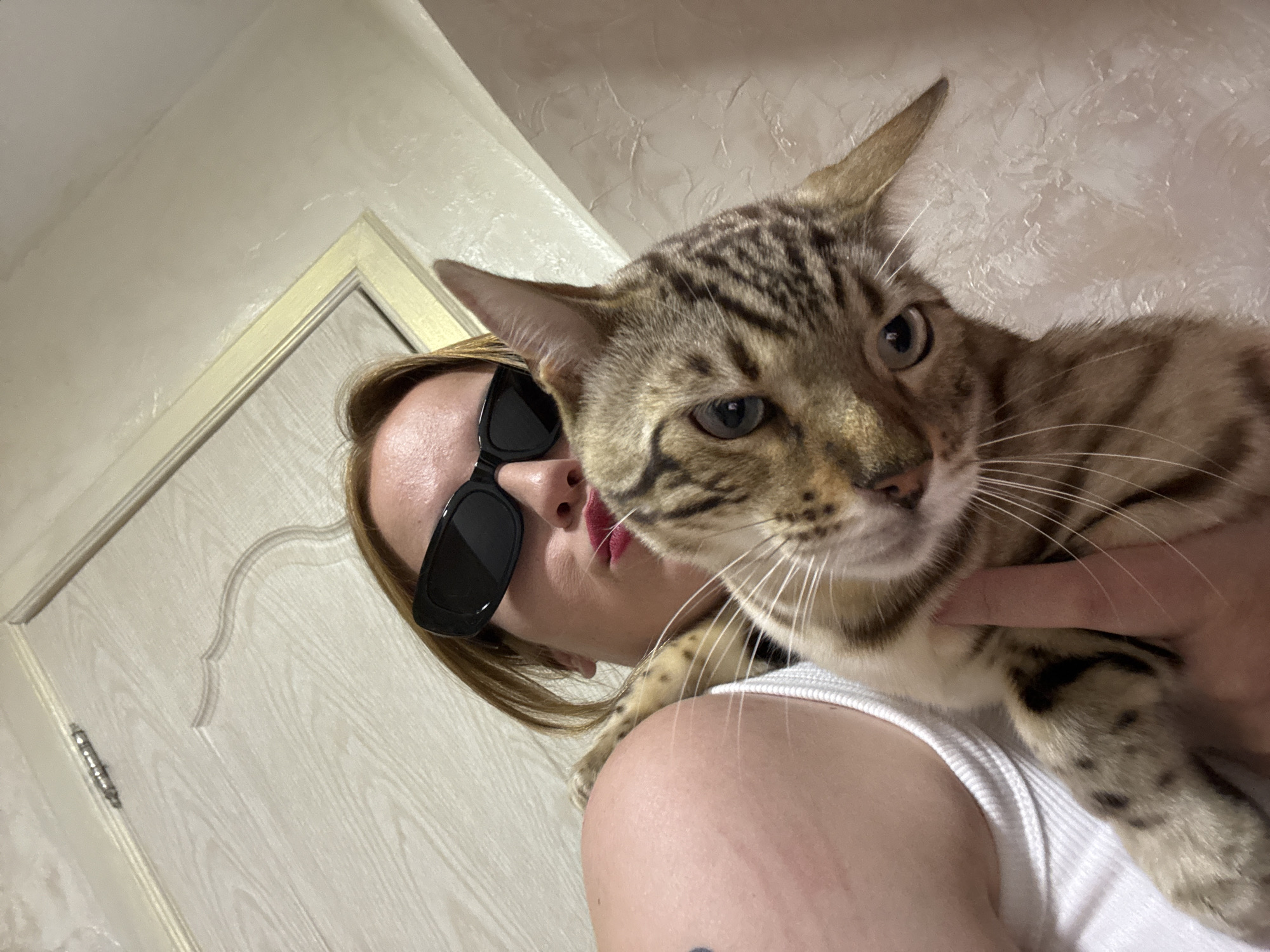 Afternoon selfie session in Noviy, Russia, cat and all.