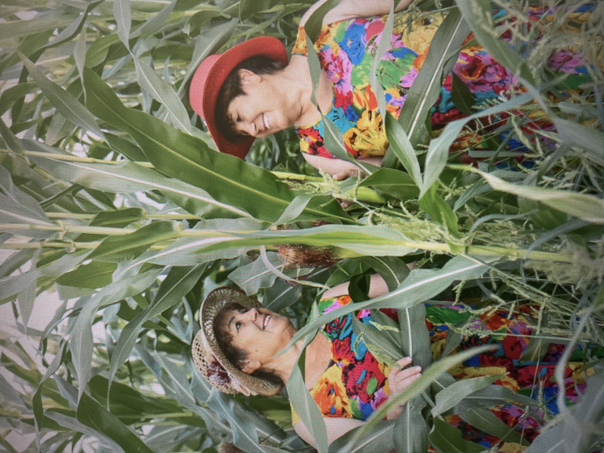 Summer day in rural Izhevsk: cornfields, hay bales, colorful outfits