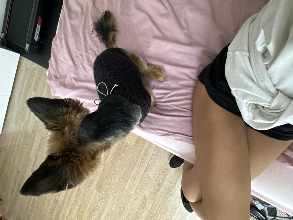 Woman and sweater-wearing dog share cozy Valentine's Day in Saint Petersburg