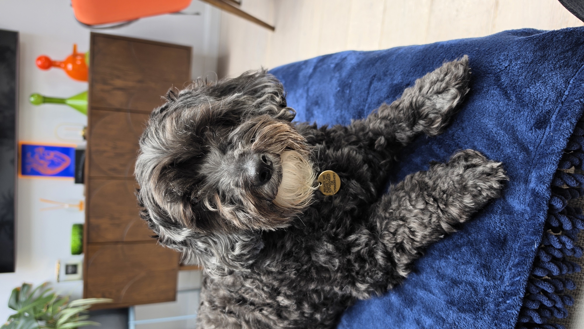 London resident documents quiet morning with pet and child