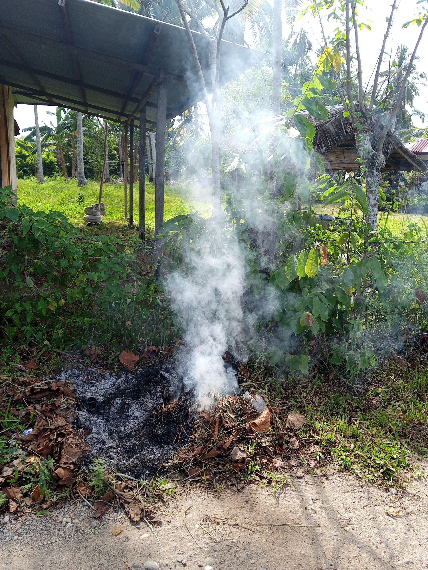 Leaf burning documented in rural Indonesia villages