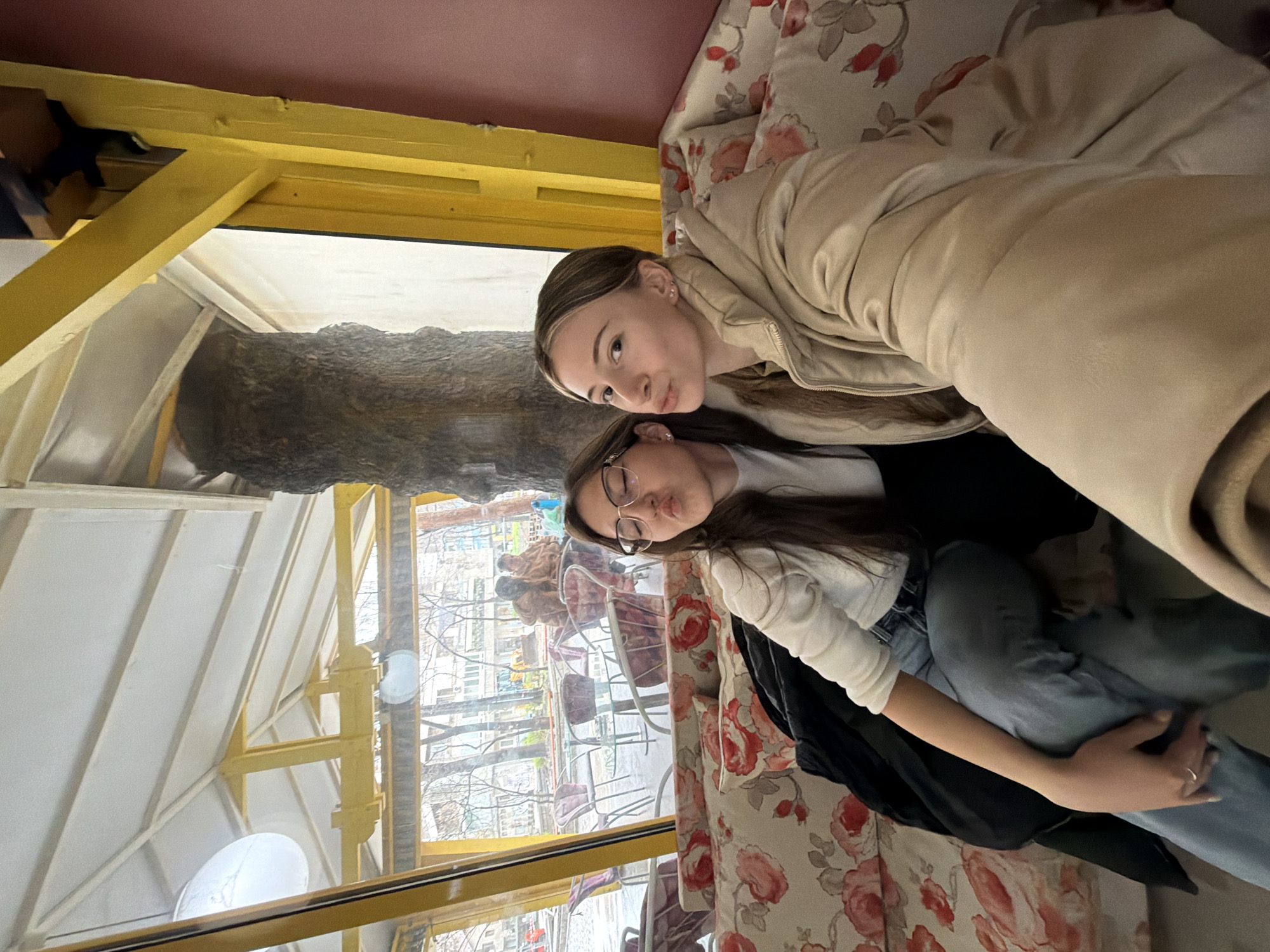 Restaurant photos and legal documents captured in Plovdiv