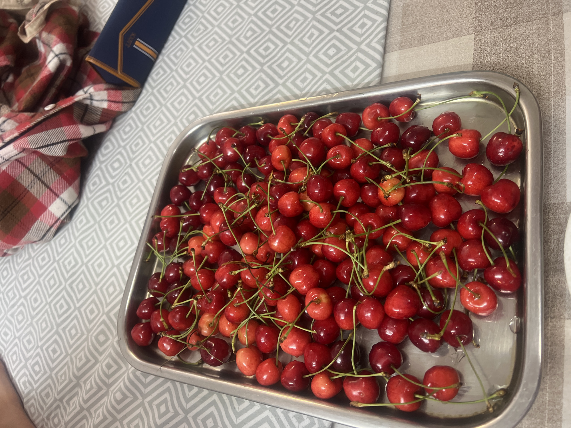 Morning scenes from Dharamshala: cherries, schoolchildren, memorial, local life
