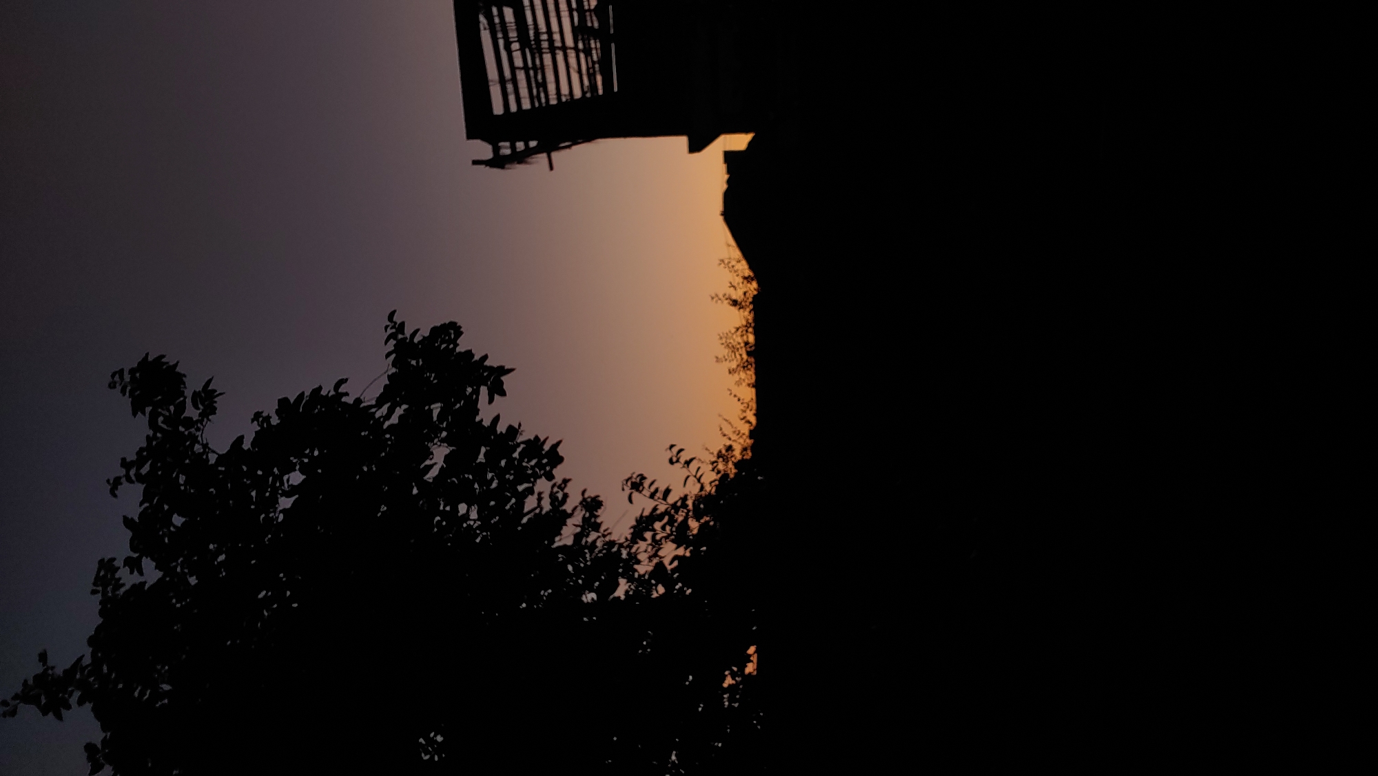 Twilight nature details and string lights in Mukachevo