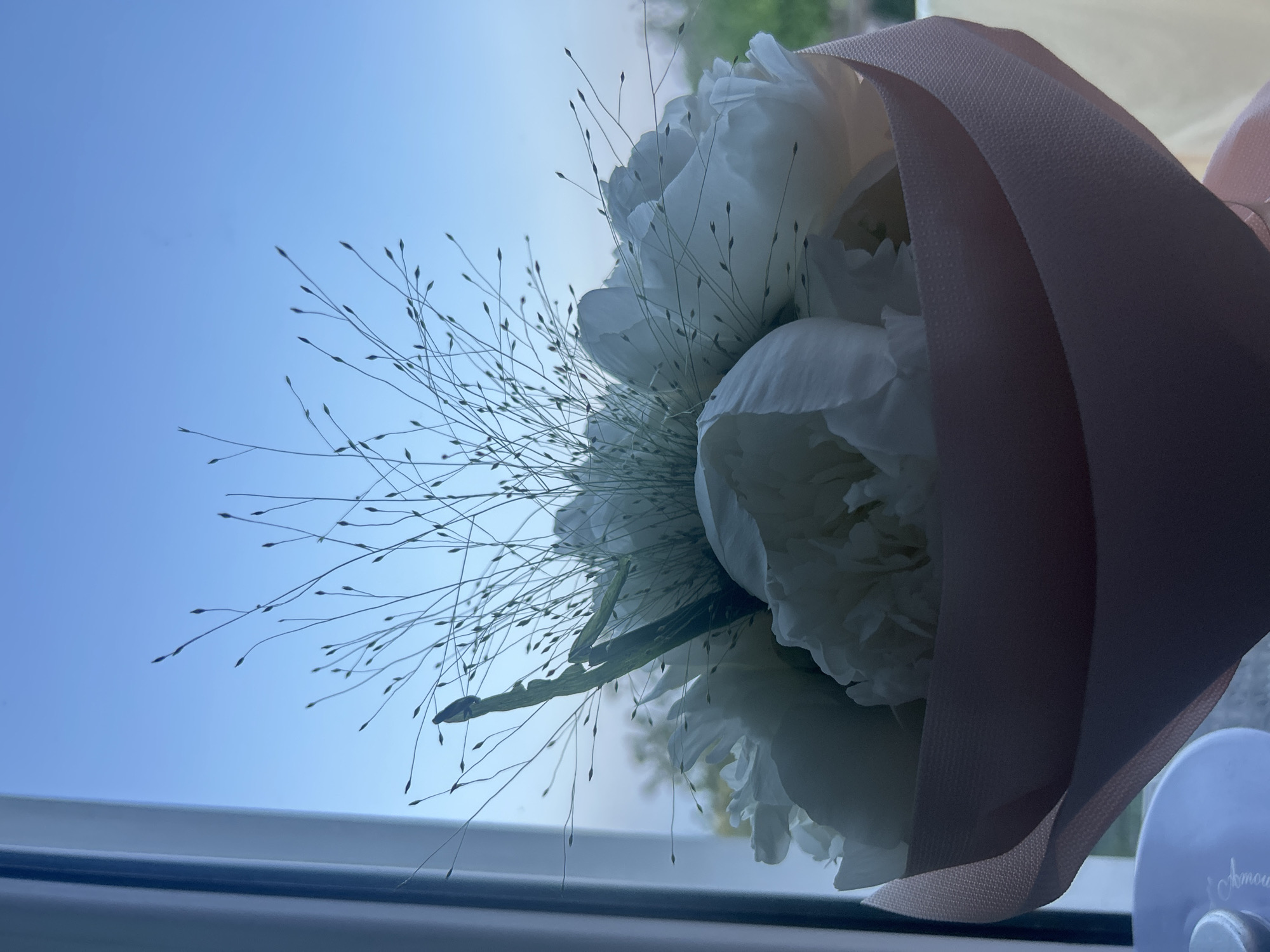 Person documents snacks and flowers during casual indoor moment