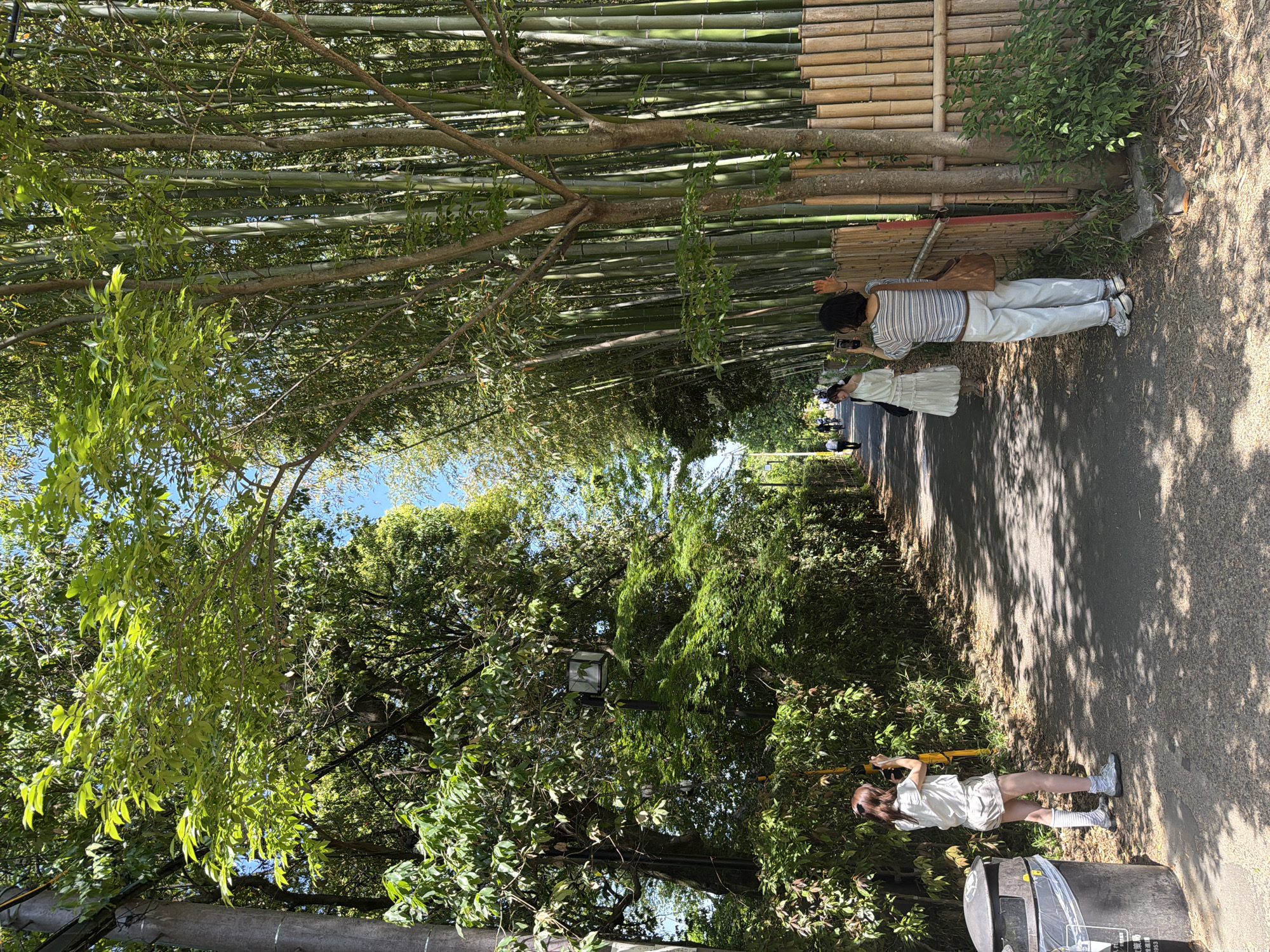 Early morning visitors explore Kyoto's Arashiyama Bamboo Grove