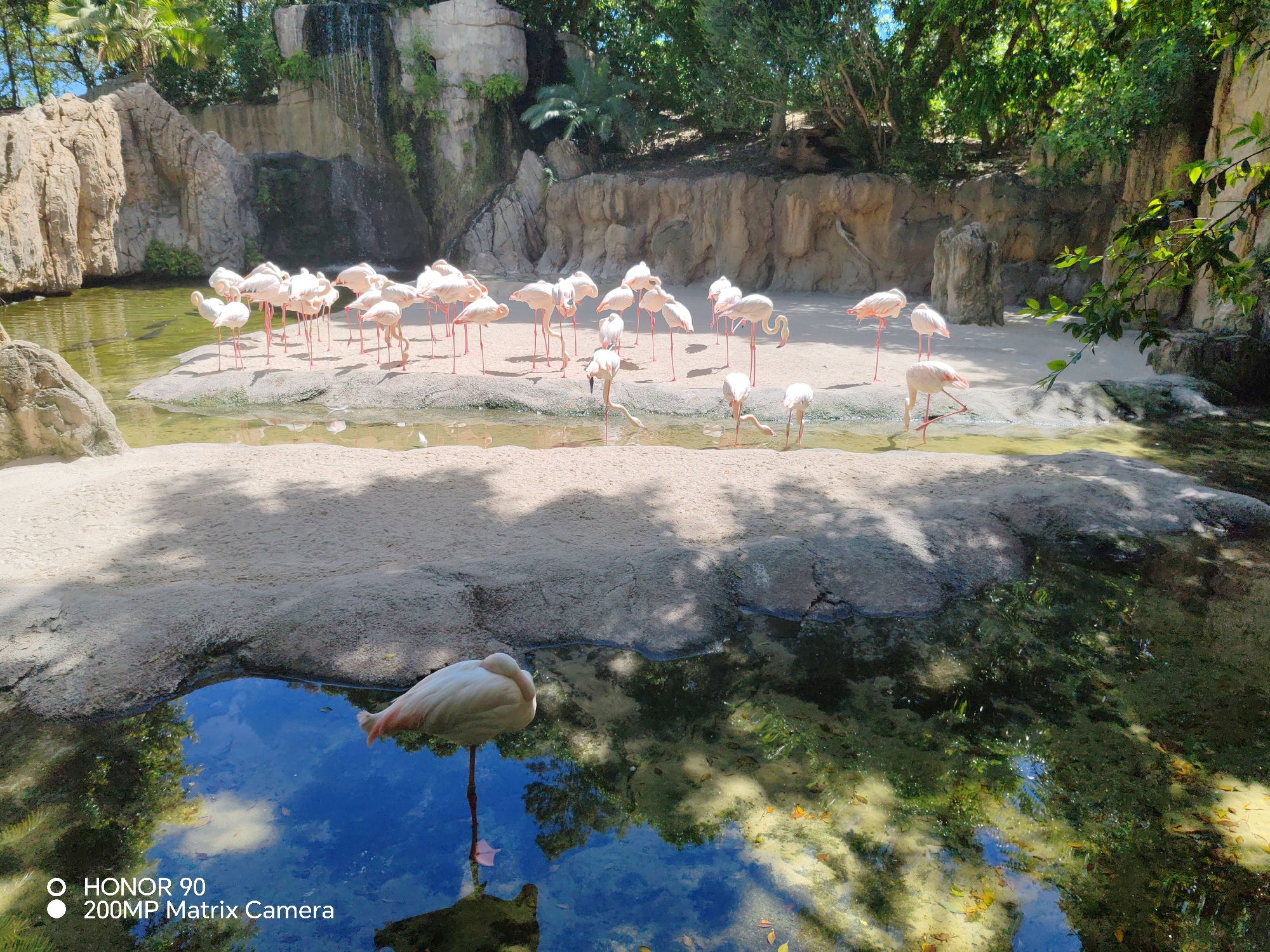 Wildlife spotted at Valencia Bioparc during morning visit