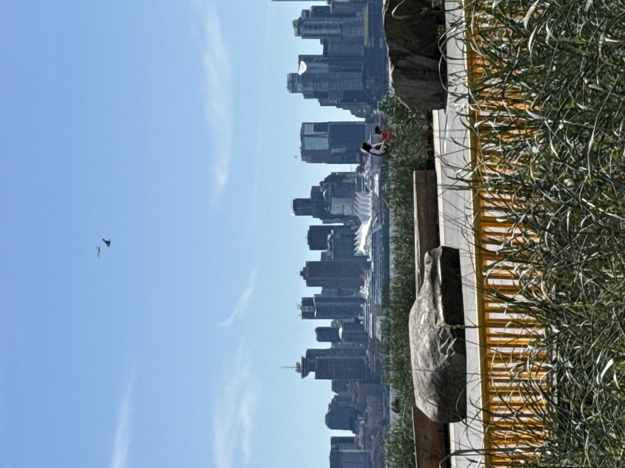 Vancouver skyline framed by grasses and rocks from North Vancouver shore