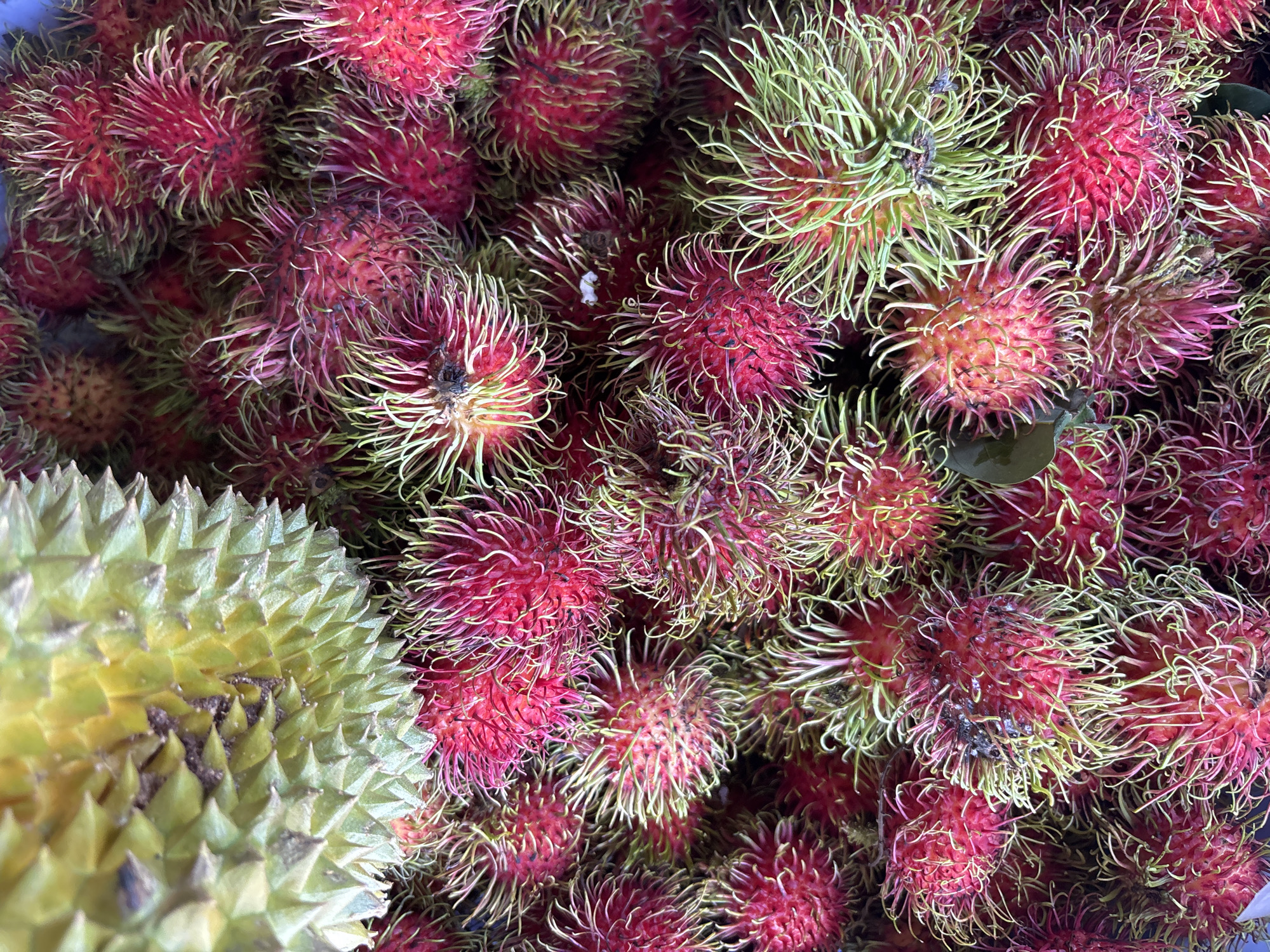 Street market scenes and tropical fruit in Nha Trang