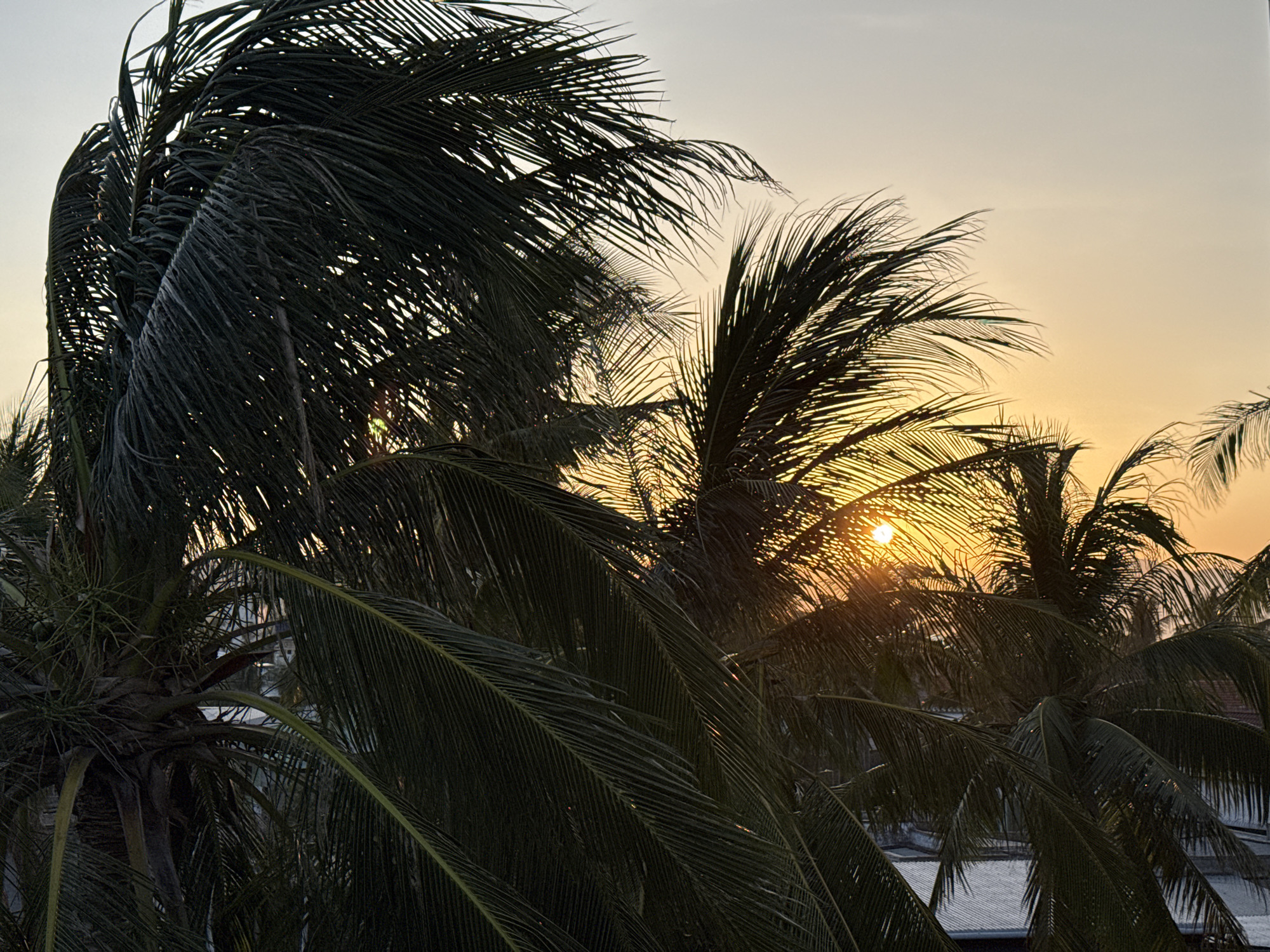 Sunset over a tropical coastal town, palms and ocean views