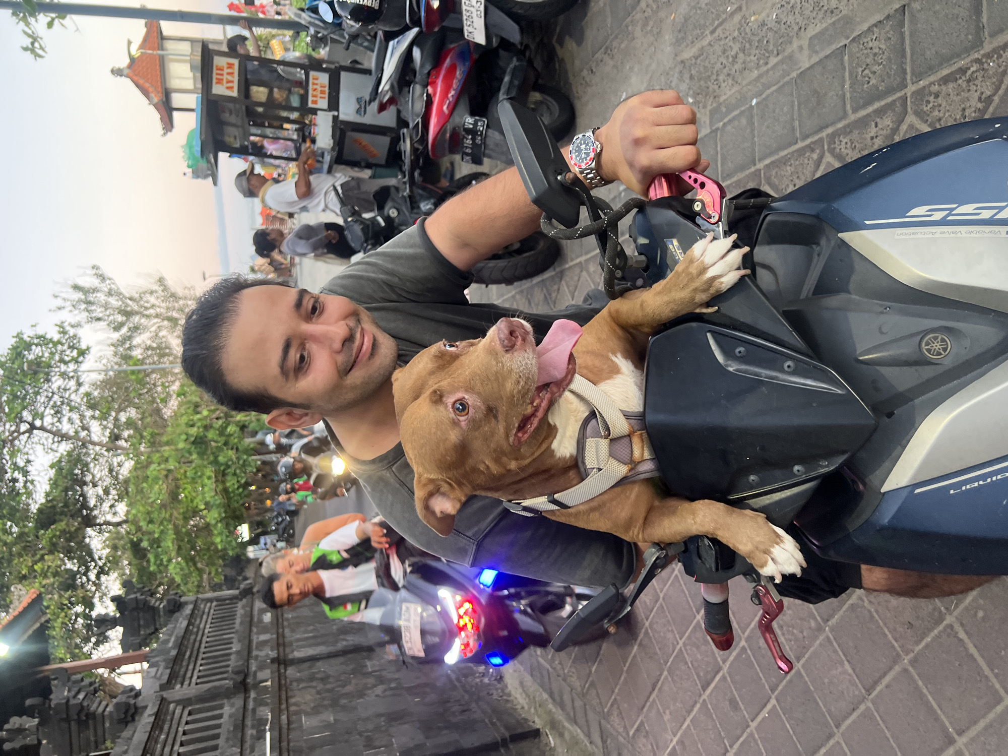 Man and dog ride Yamaha scooter in Kuta