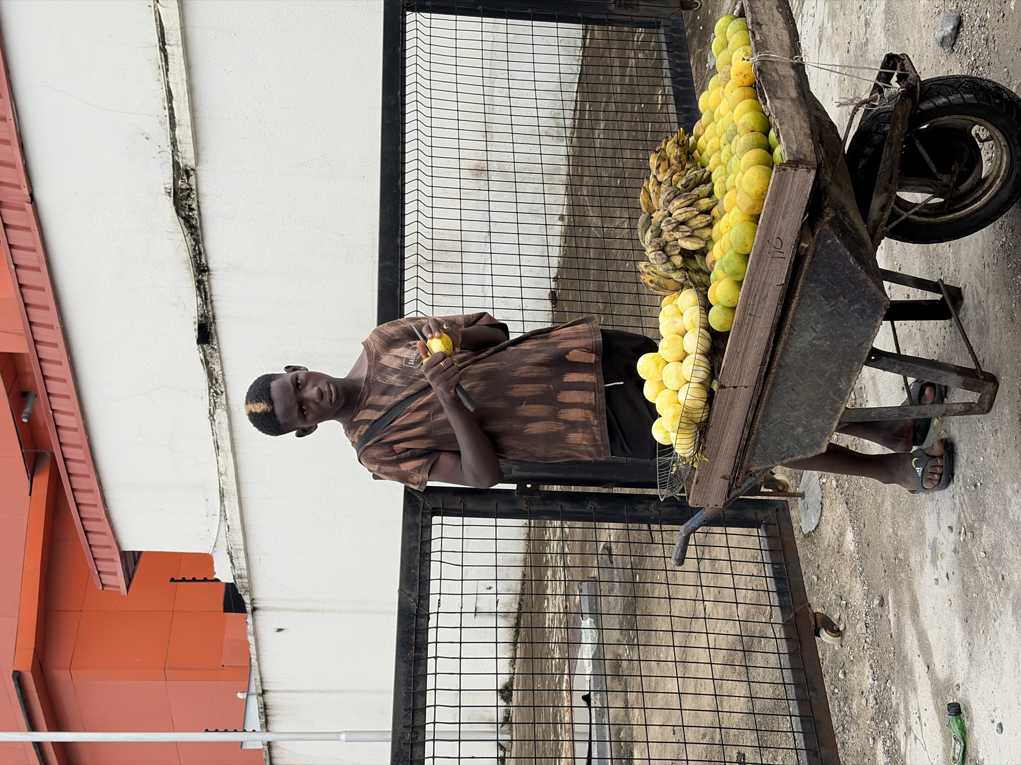 Young vendor with fruit wheelbarrow spotted in Igboefon, Nigeria
