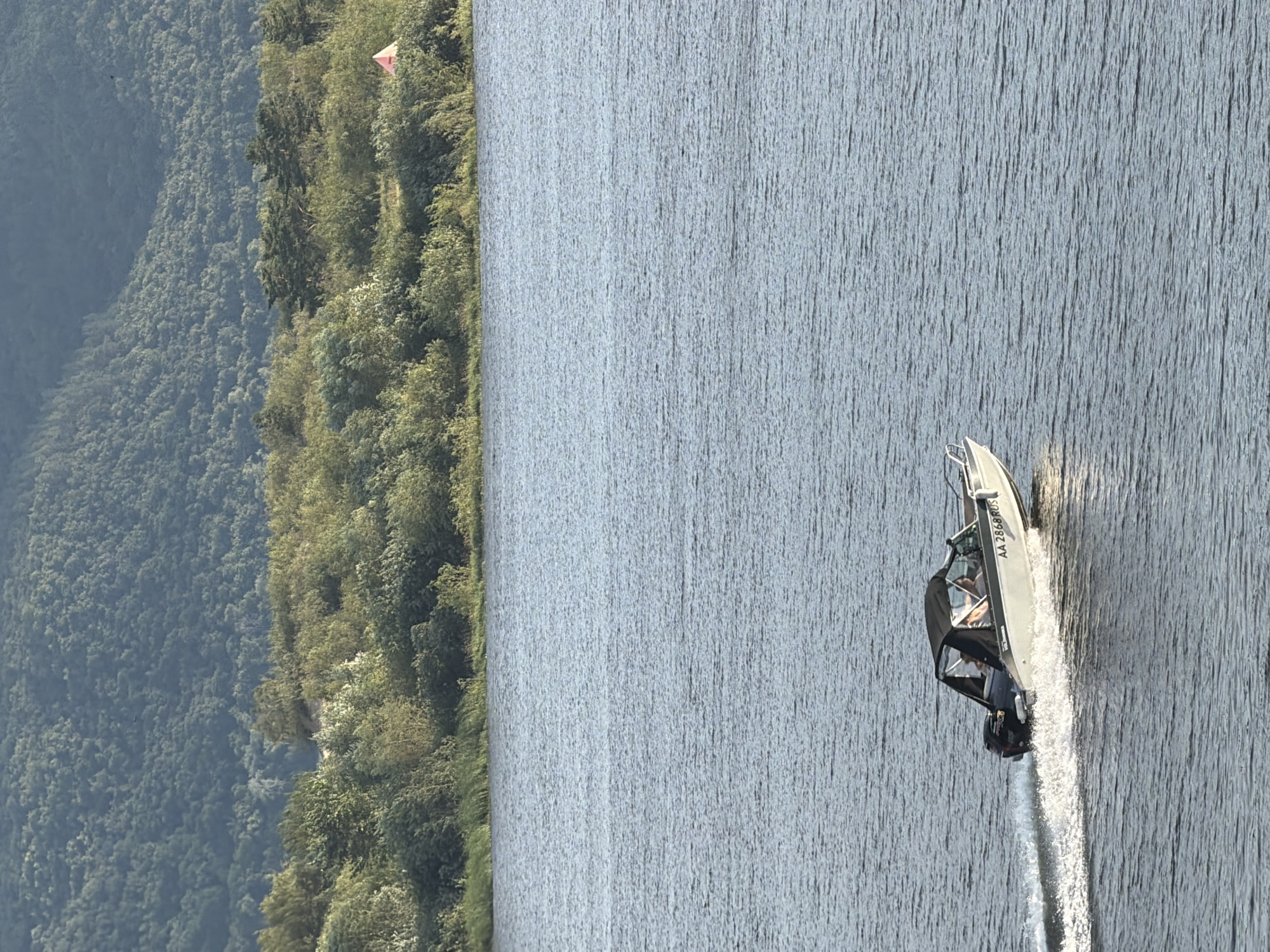 Afternoon on the Volga: boats, trains, ruins, and a chihuahua